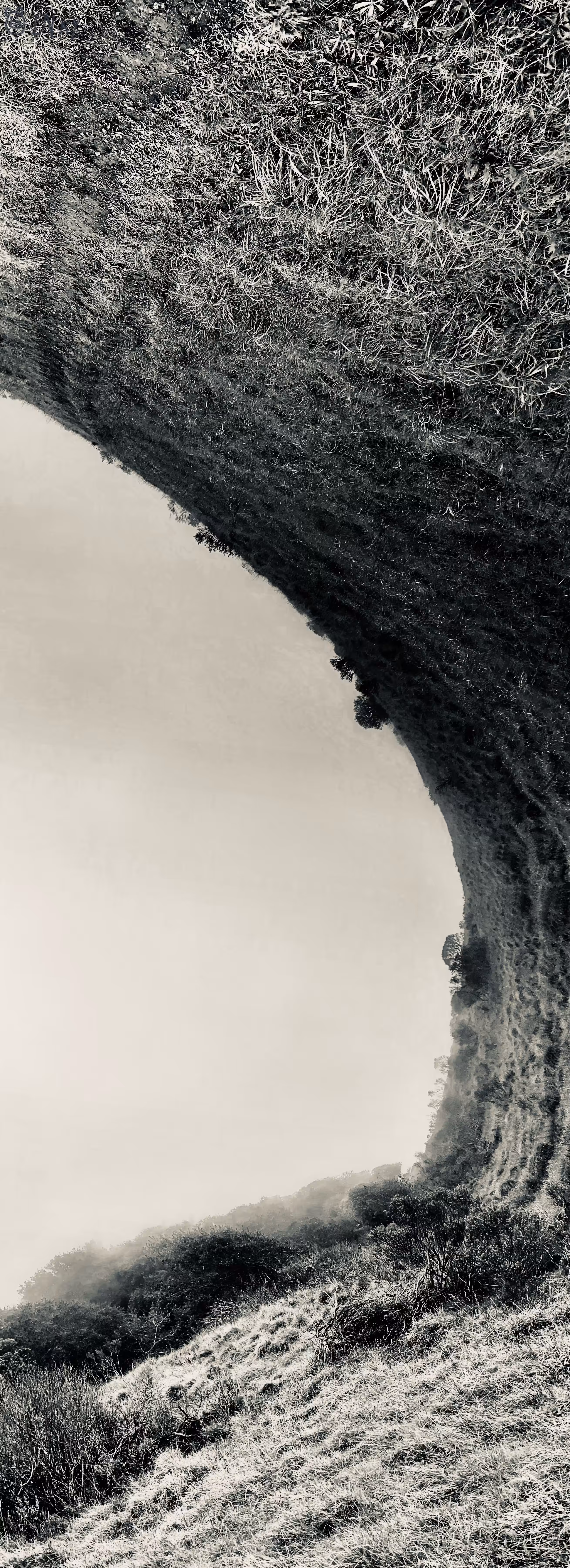 Tidal hill