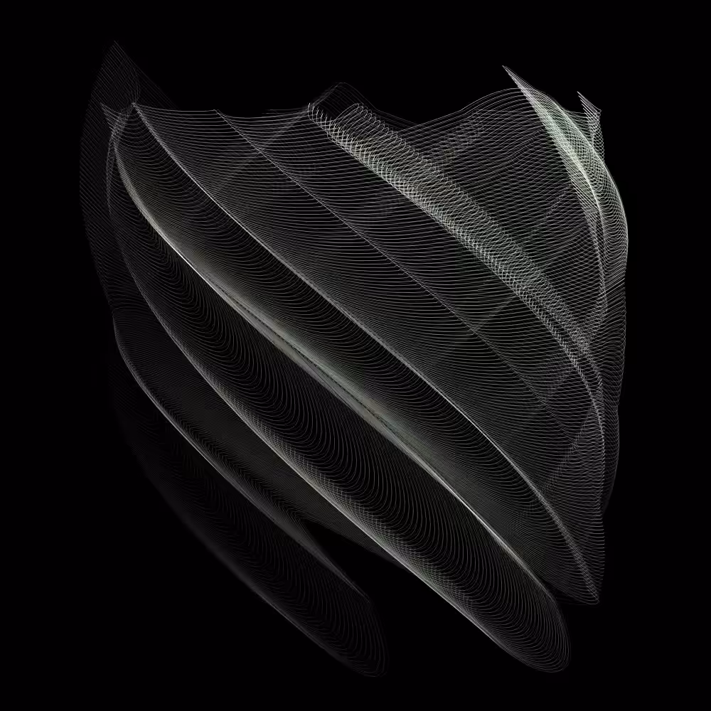Contour - motion 02