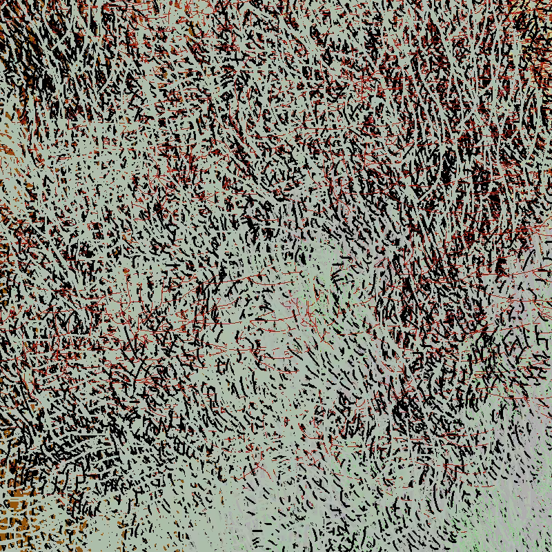 a bird worked on my painting #8