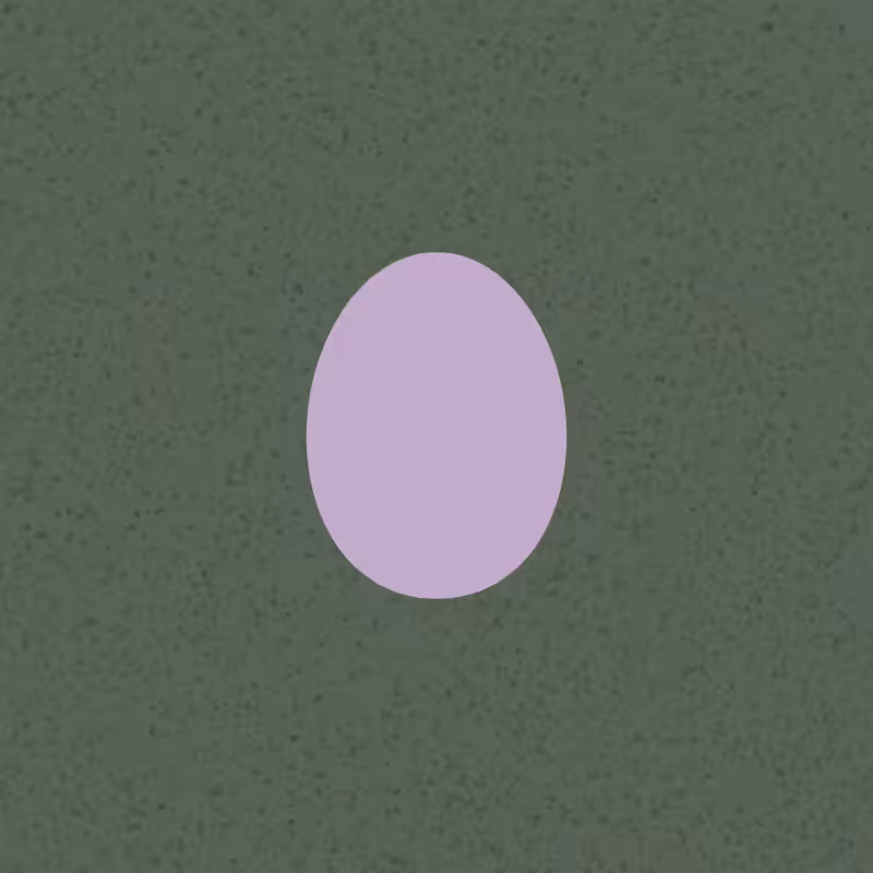 Egg #24