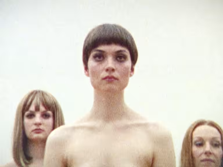 VB68 Performance, 2010