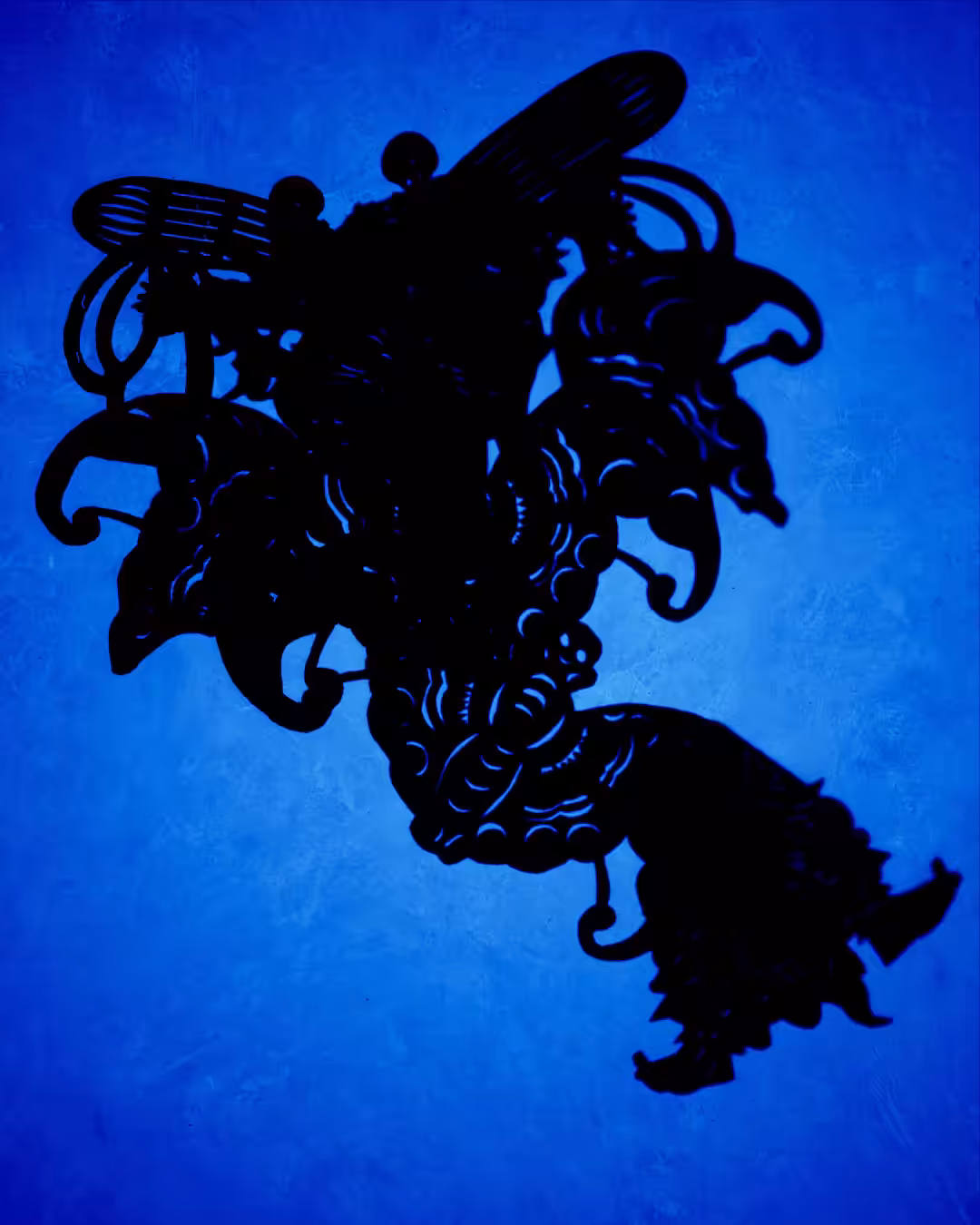 Shadow 1