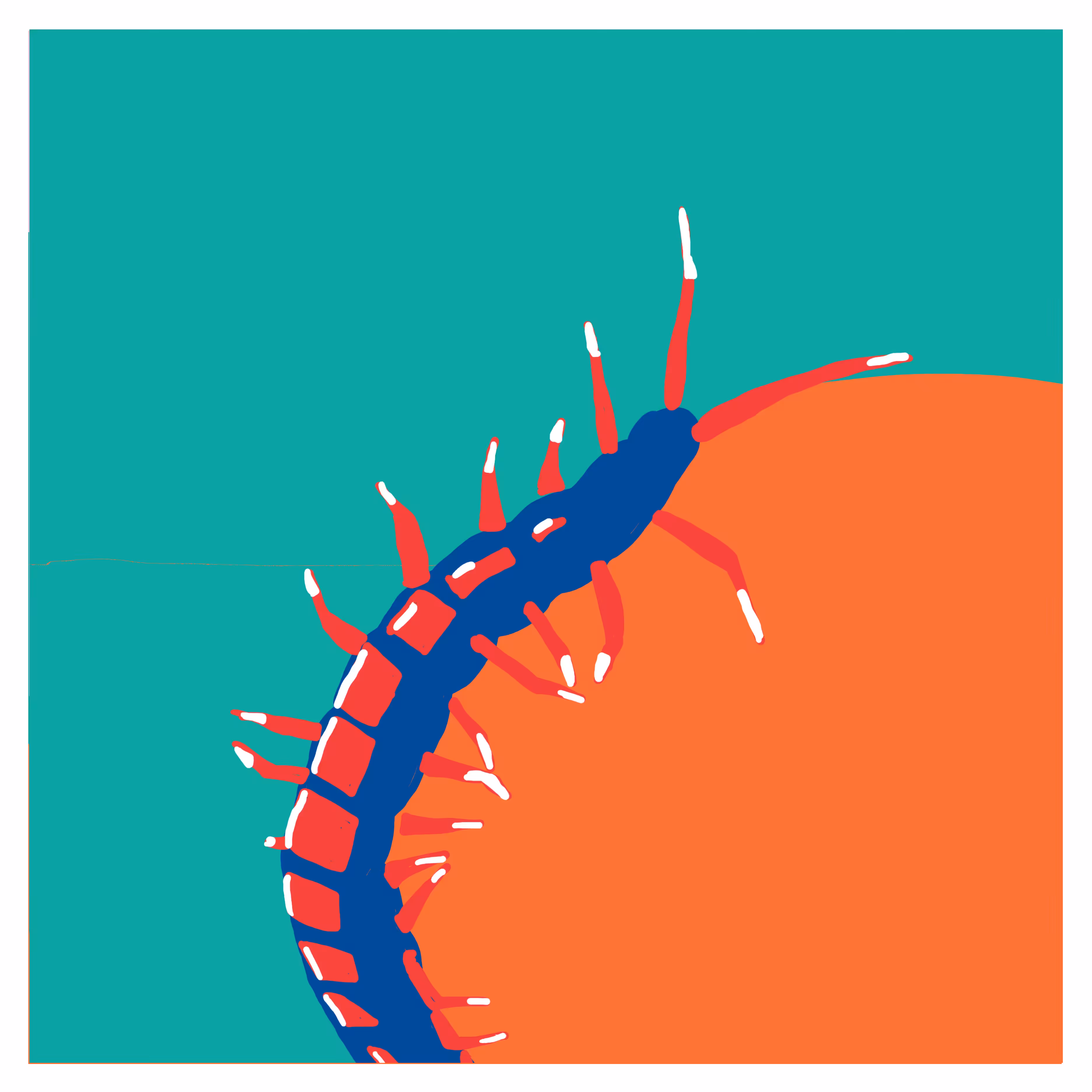 Chilopoda