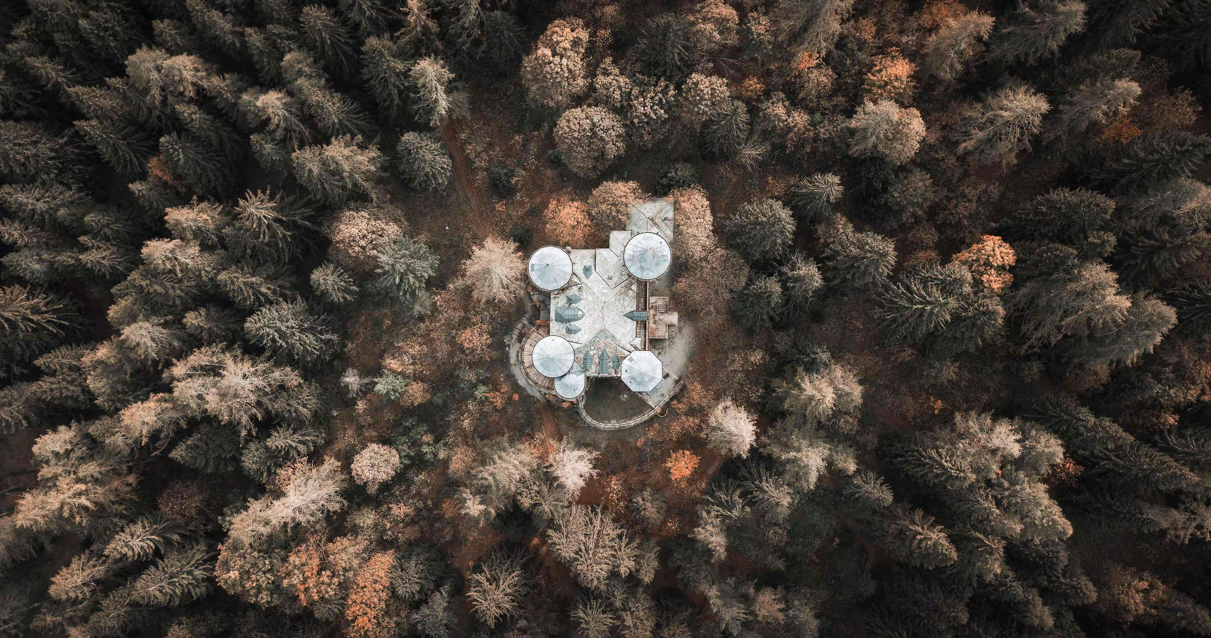 ZENITH: FAIRYTALE CASTLE