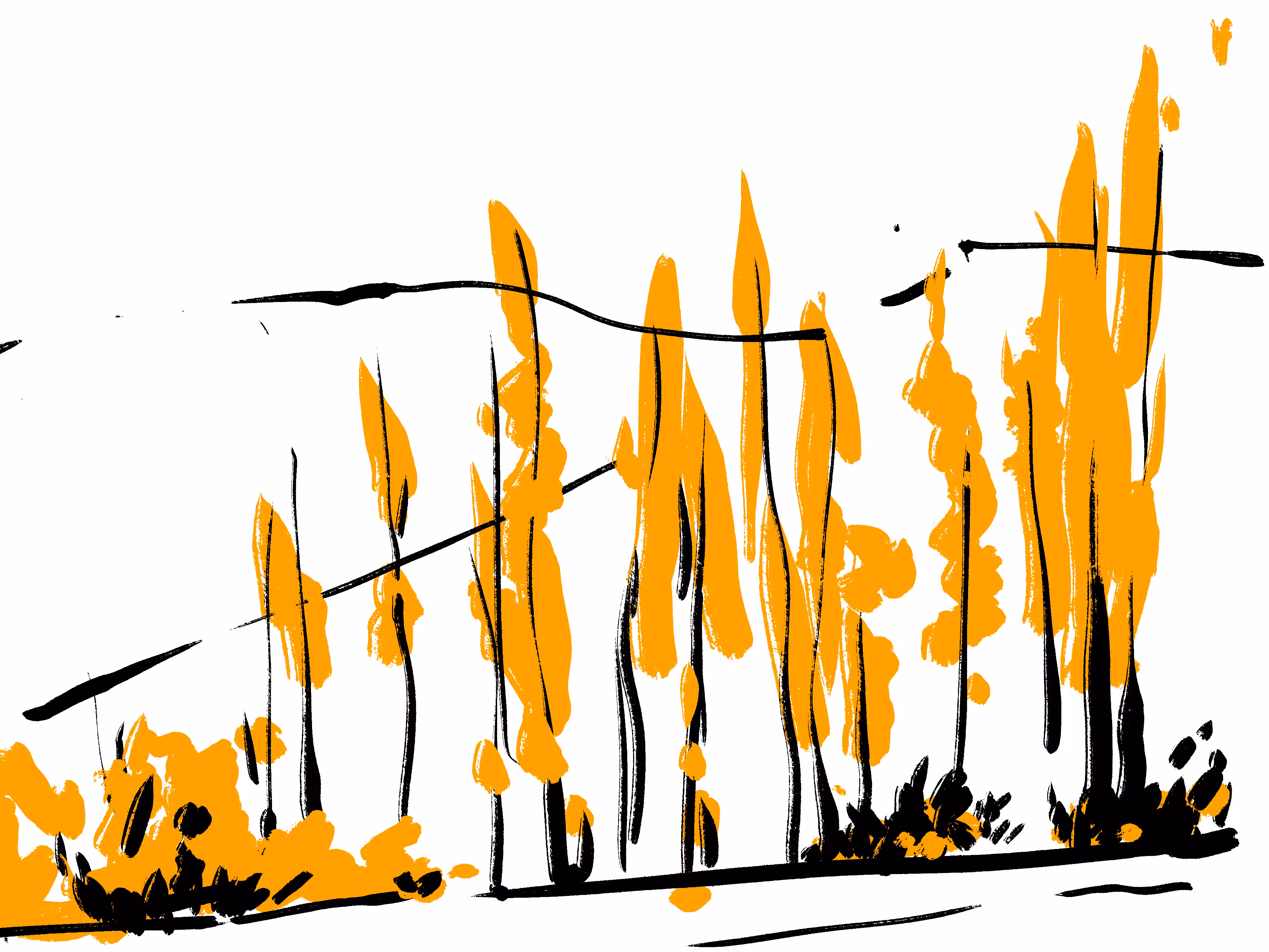 Autumn-07