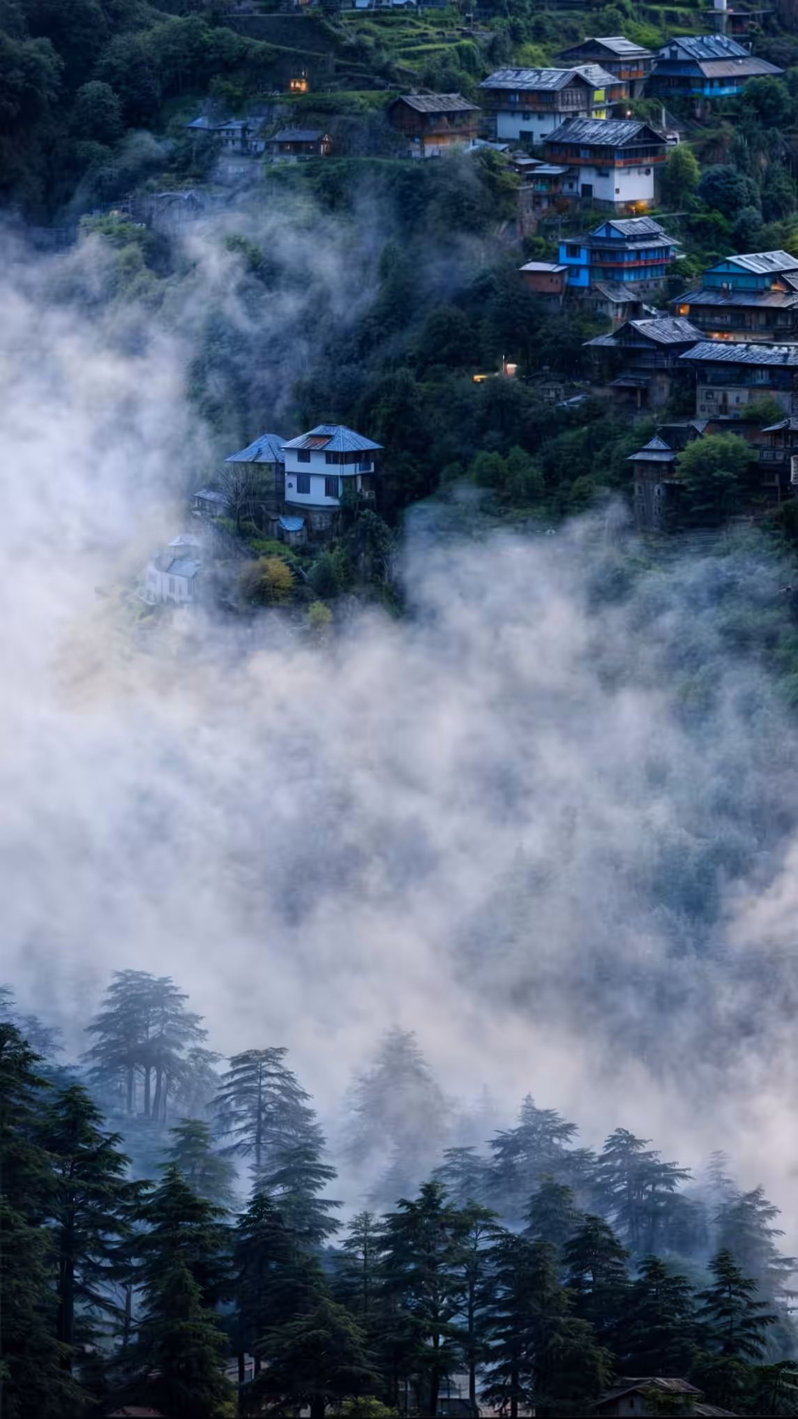 The Village 