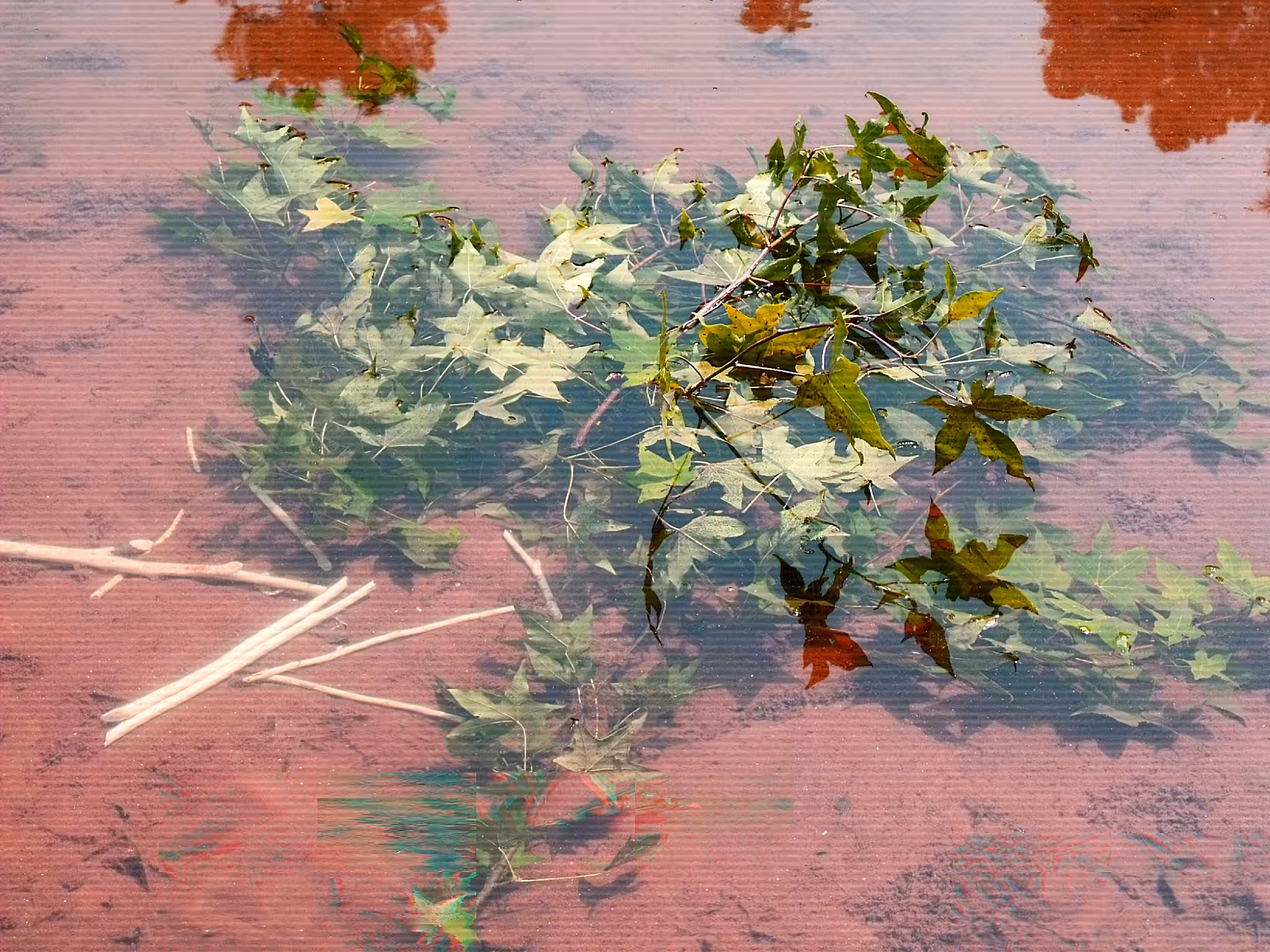 FUJ_1539