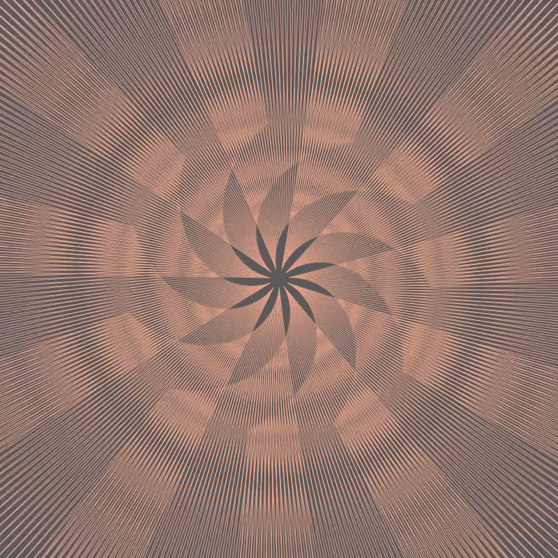 Generative Flower Orange - Genesis Edition