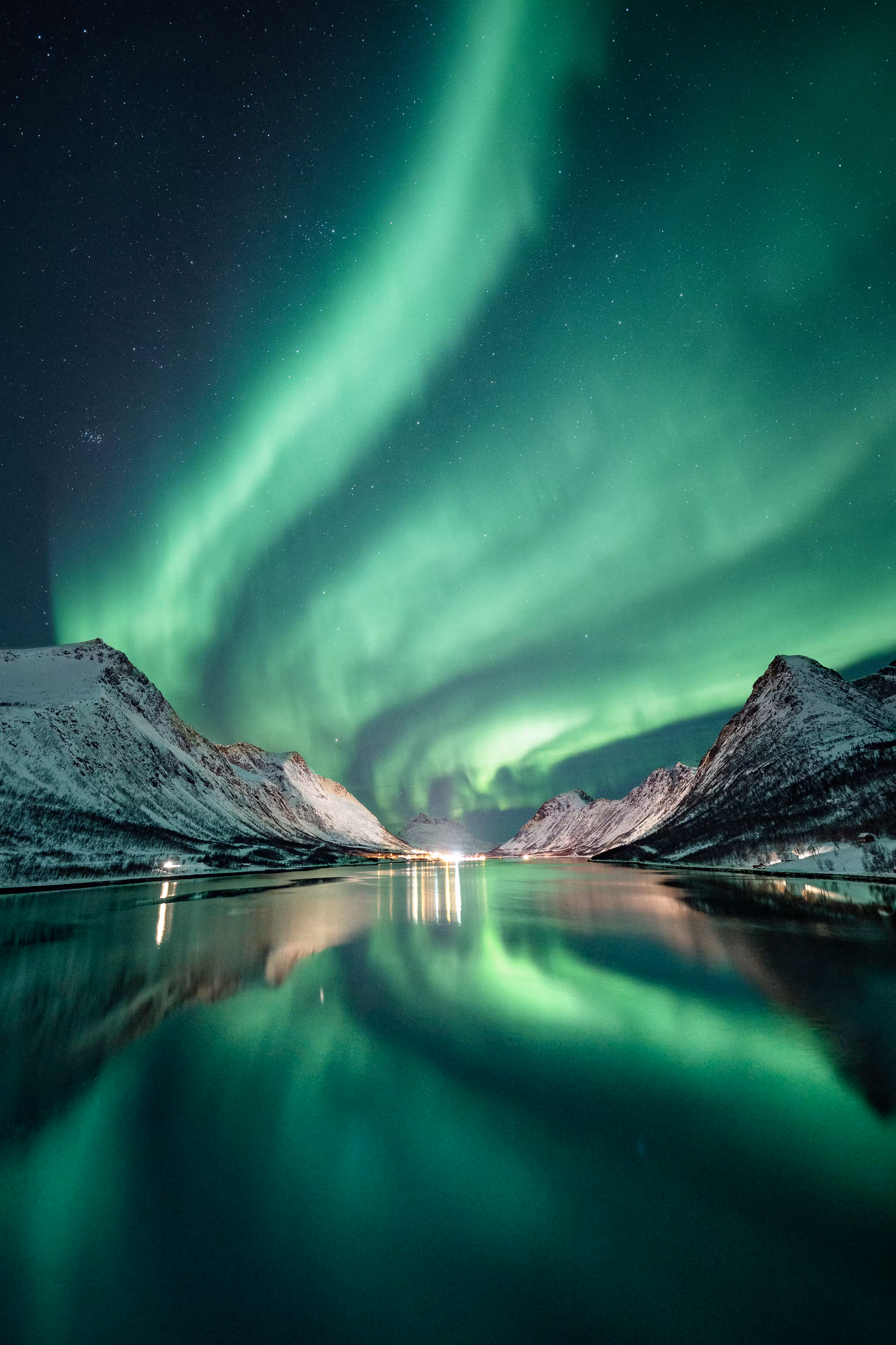 The Gryllefjord Series #3