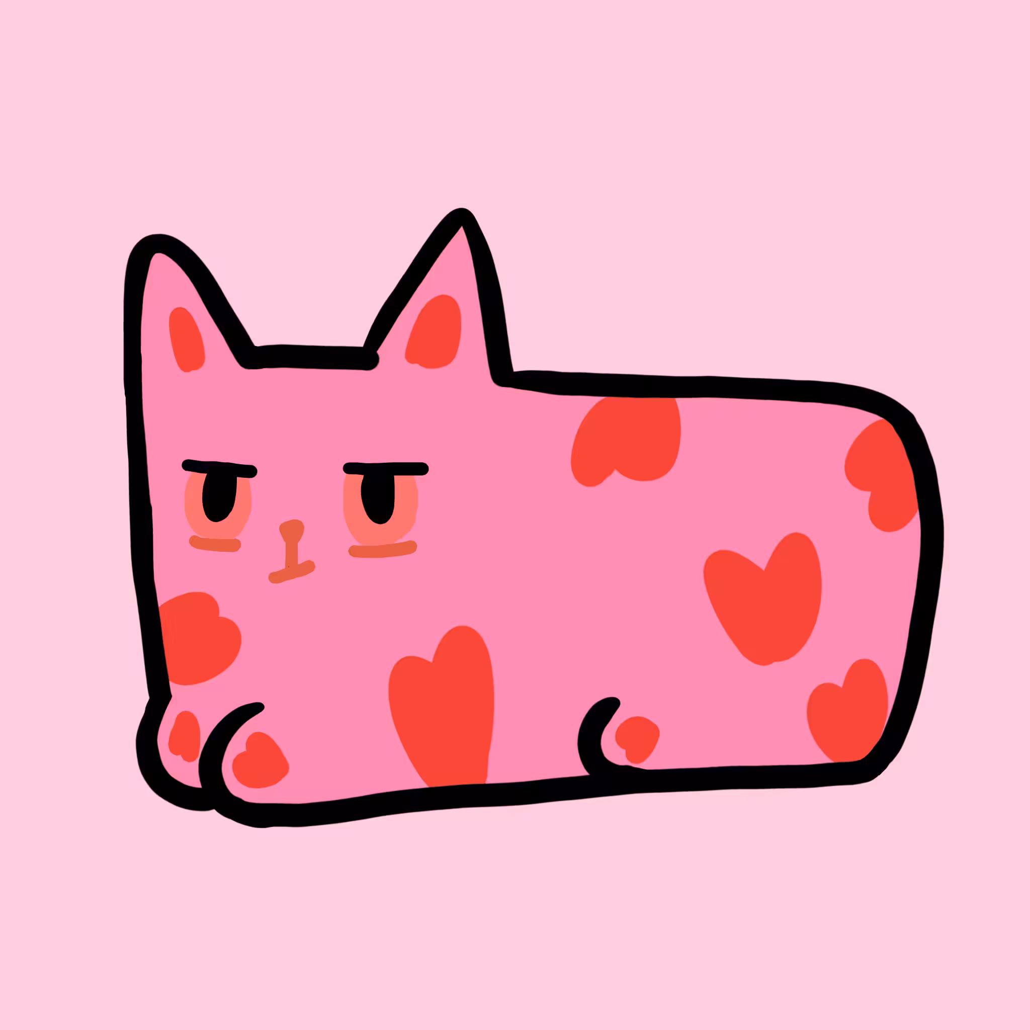 Sunny cat 10