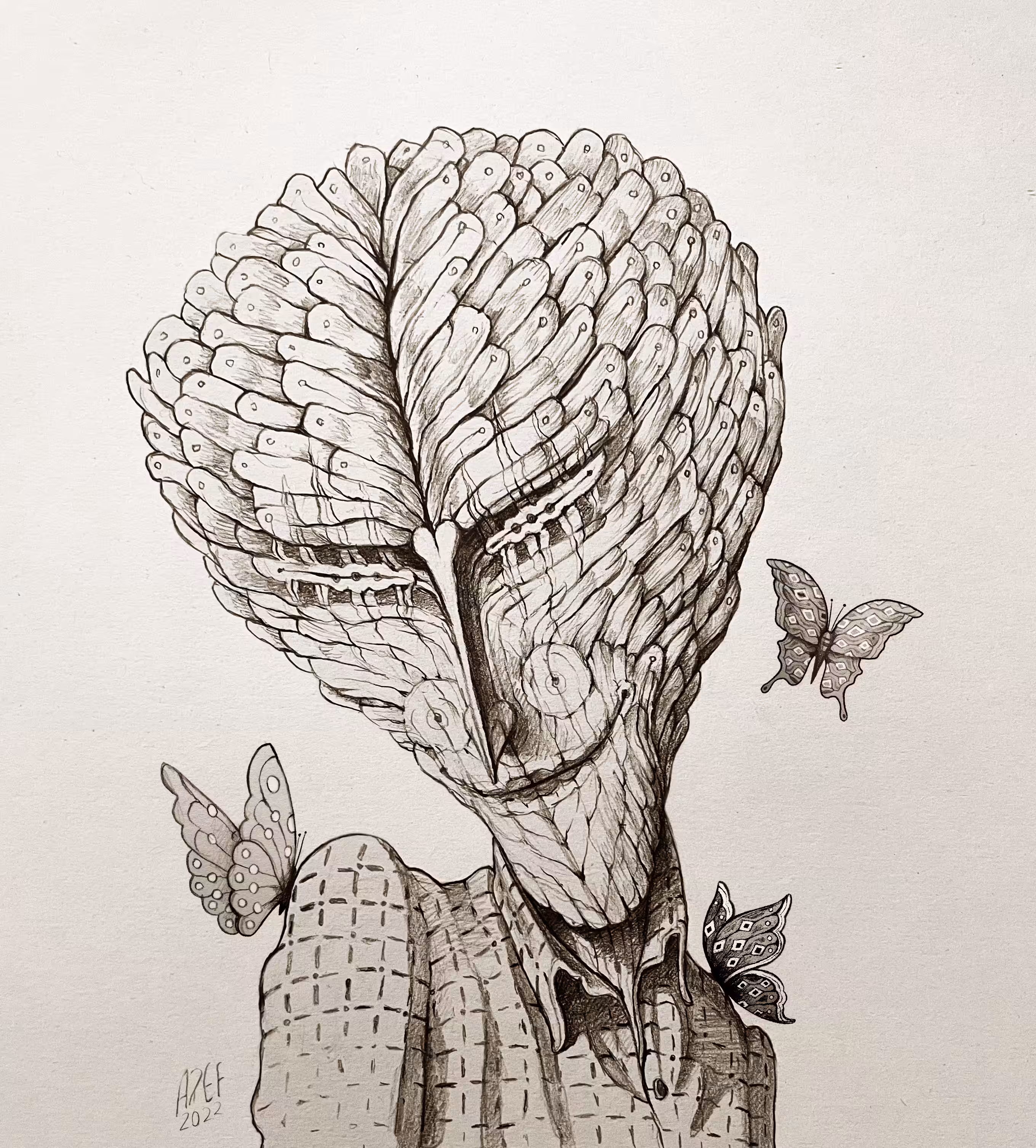BUTTERFLY 🦋