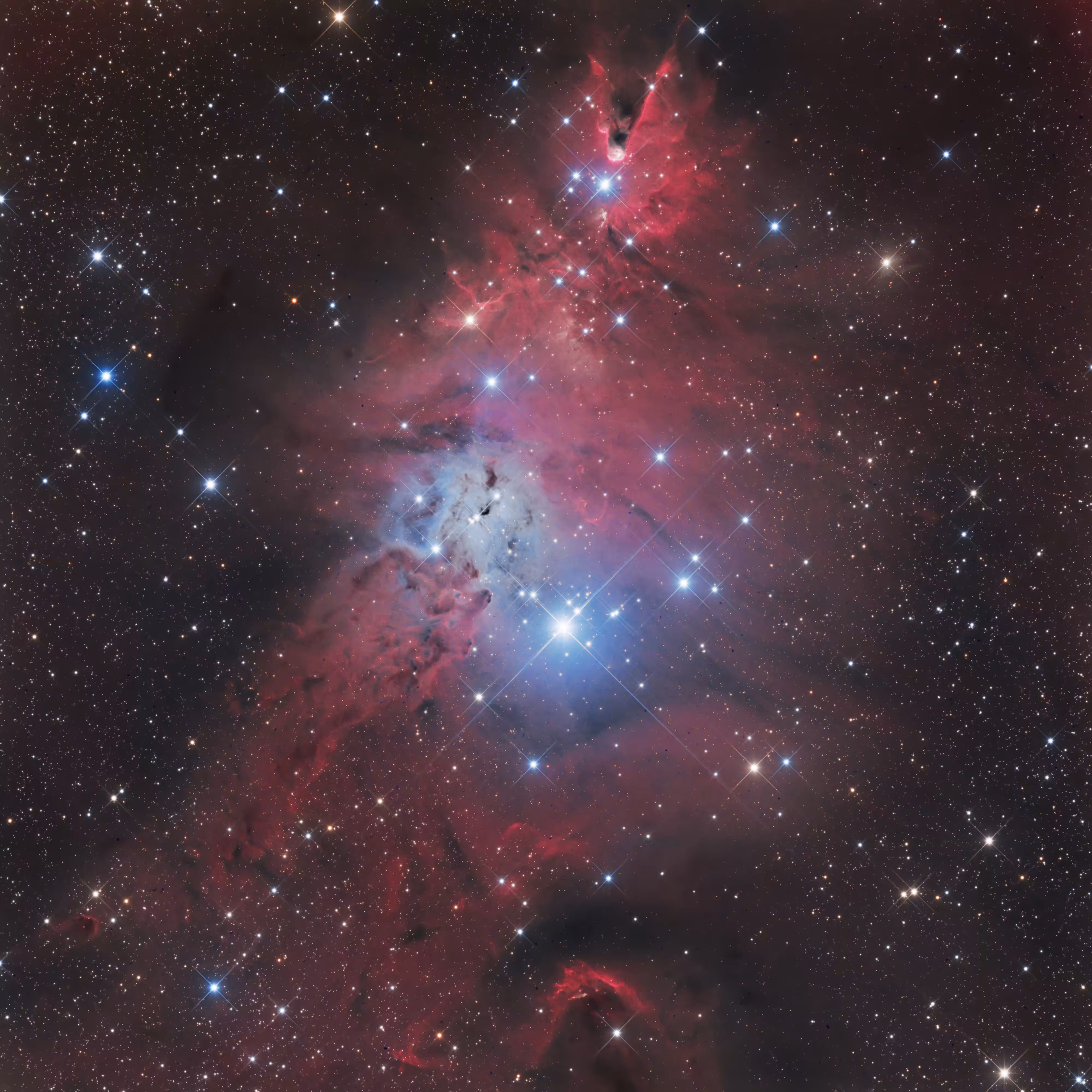 Merry Christmas, The Celestial Way