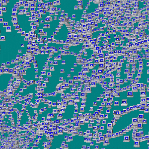 world wide web