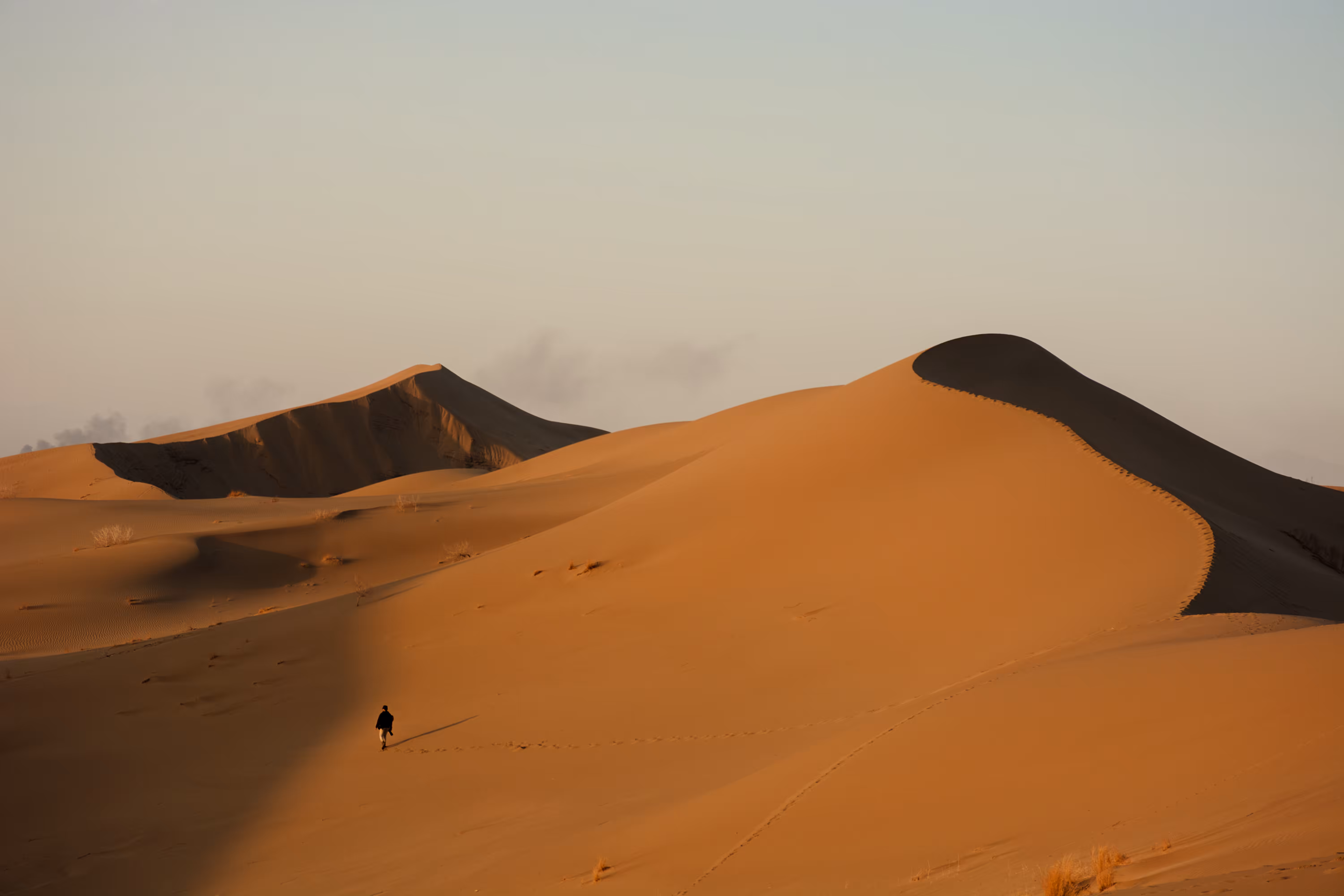 Desert