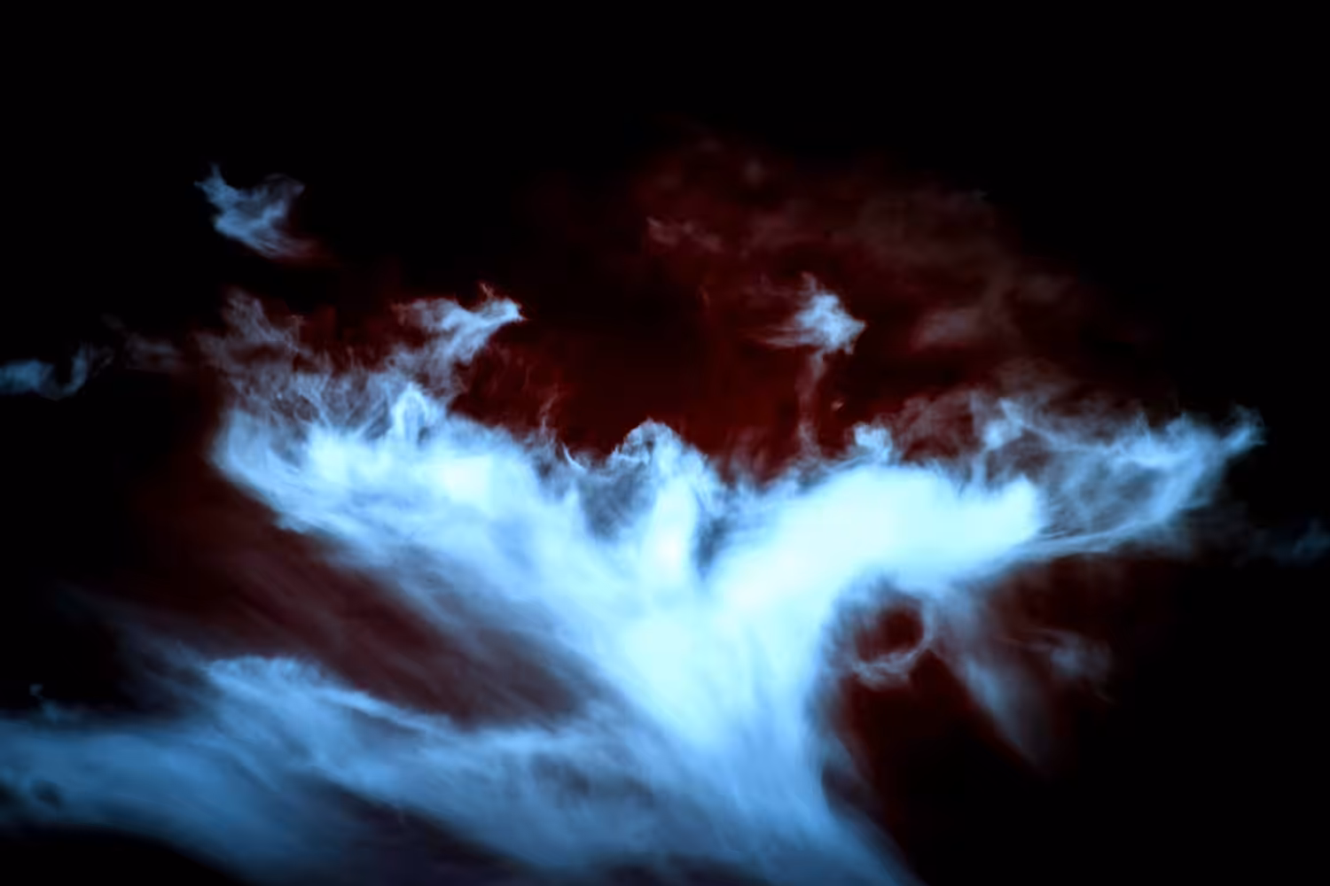 The Phoenix