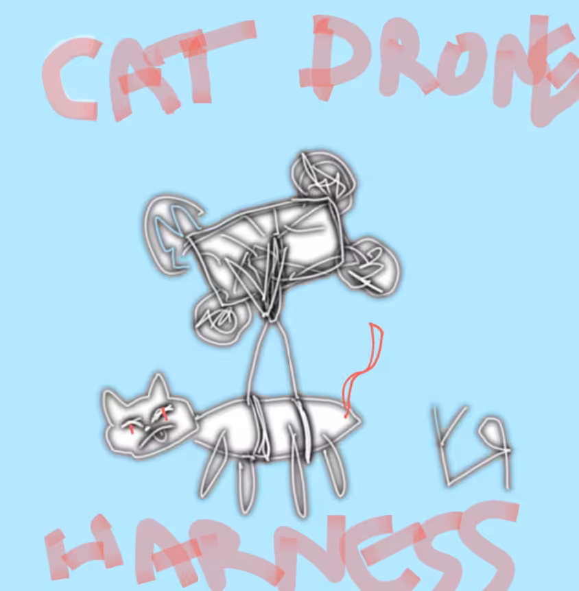 Cat Drone Harness