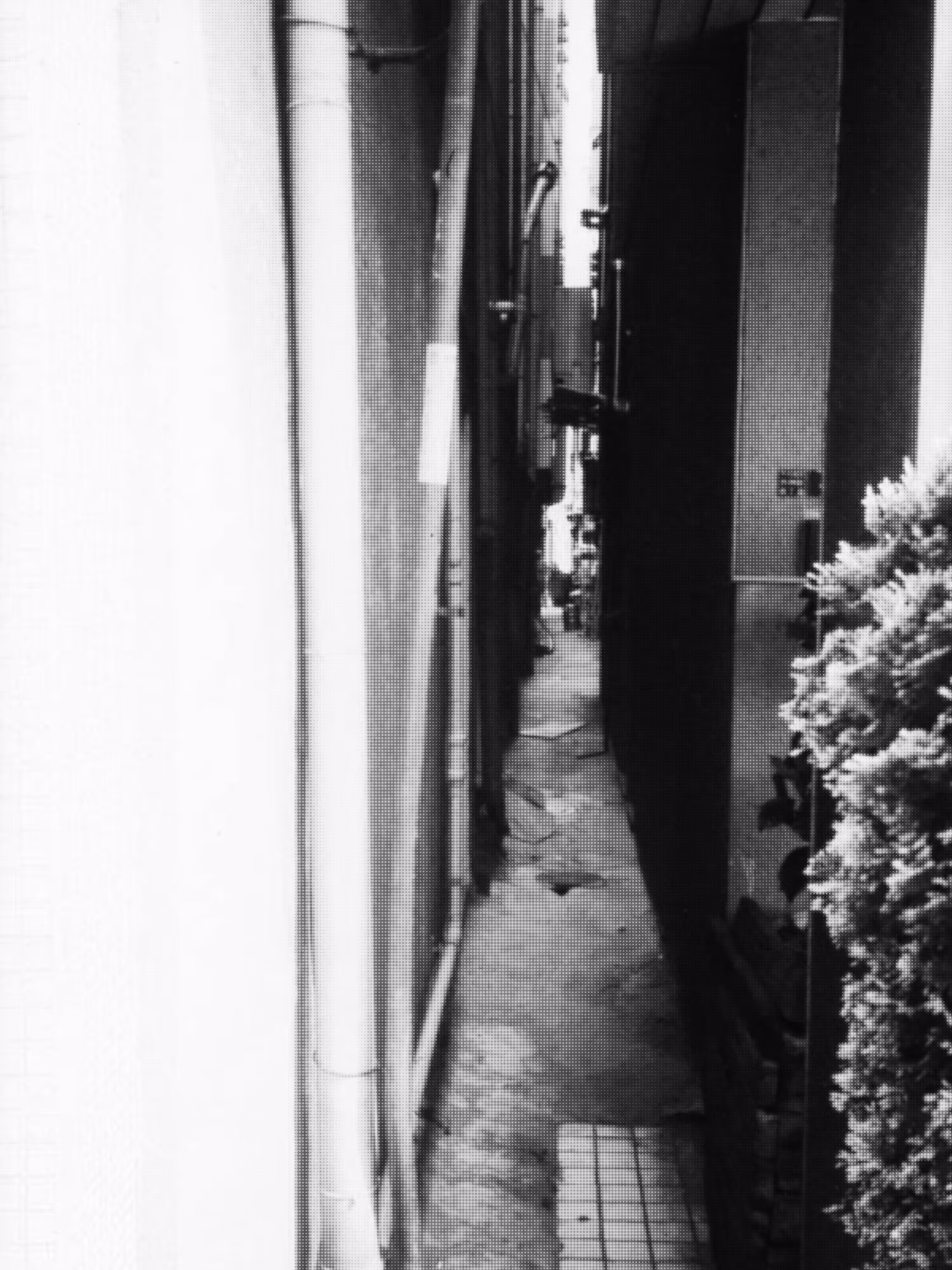 fragment 7