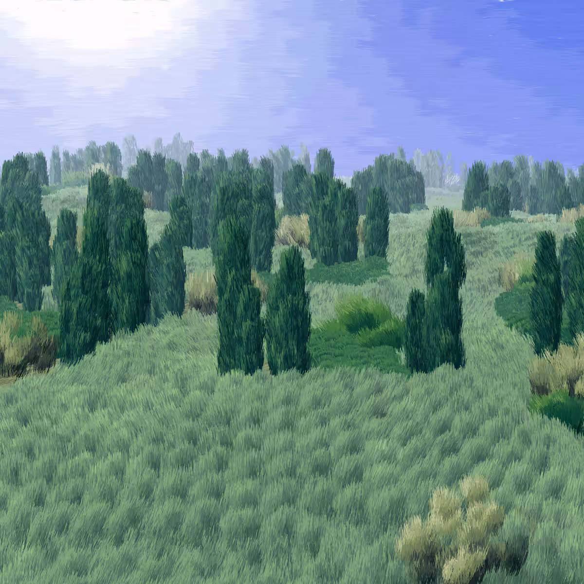 Provence #70