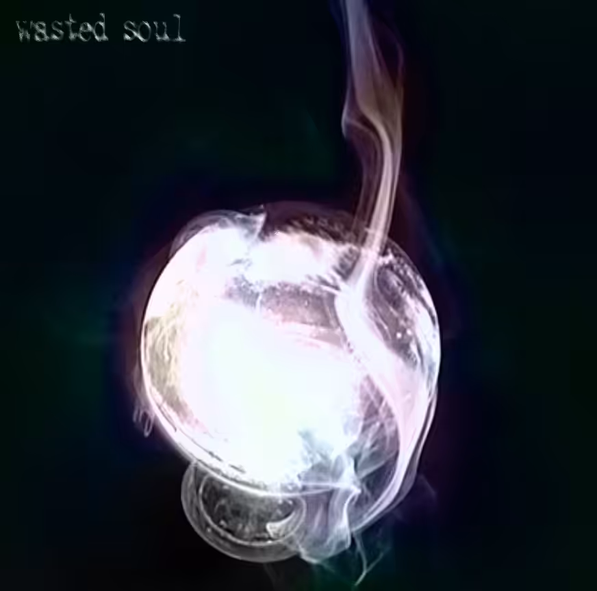 Wasted Soul