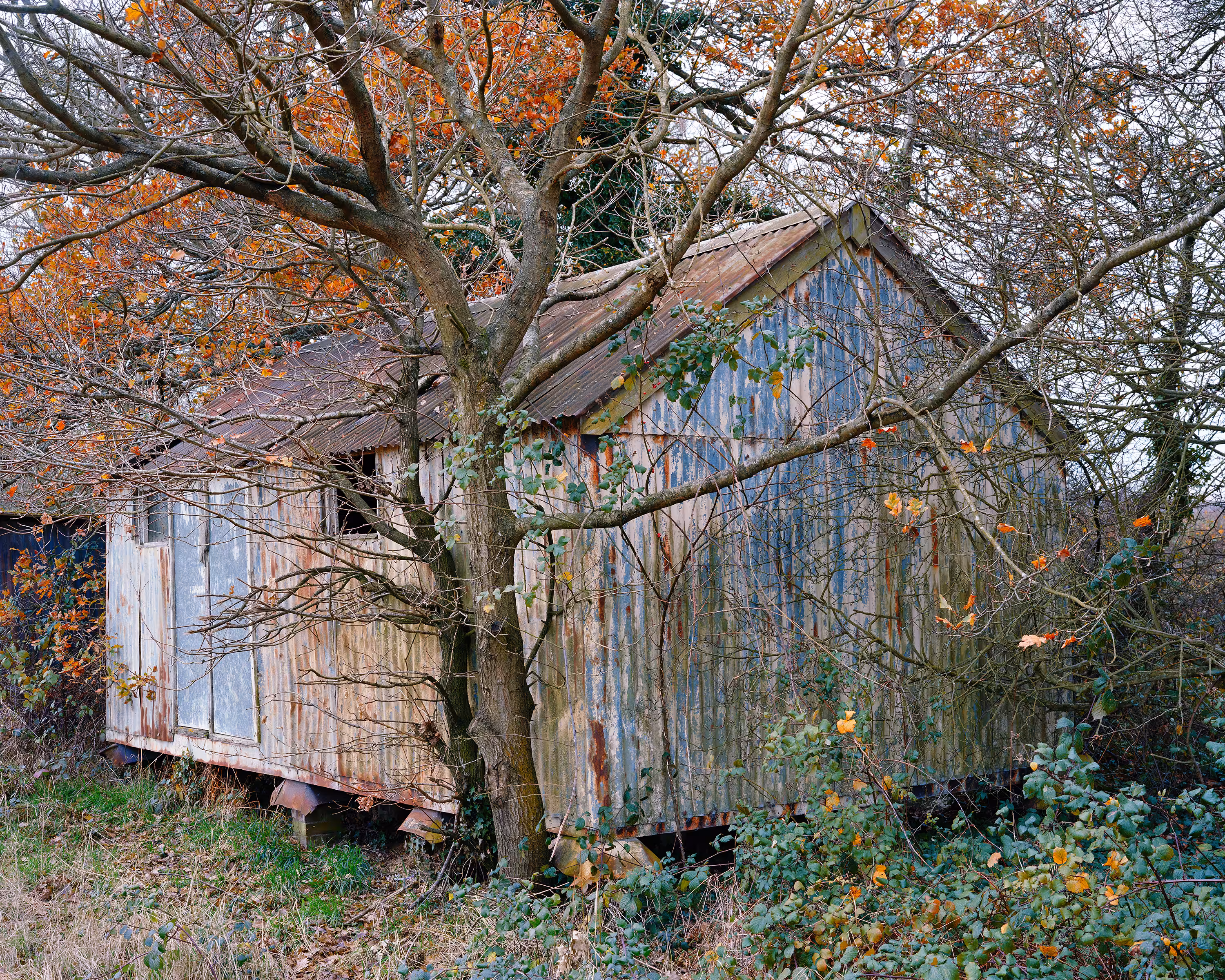 Bastard Countryside #16 Shed