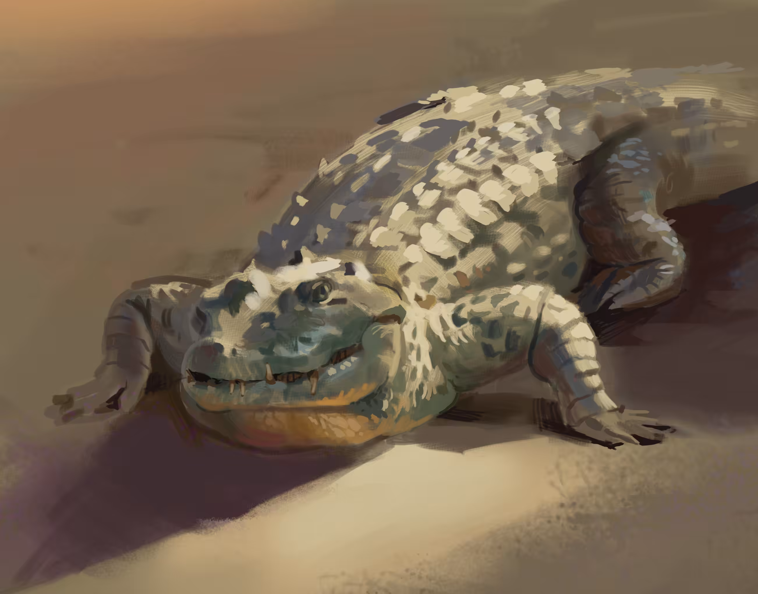 Crocodile 