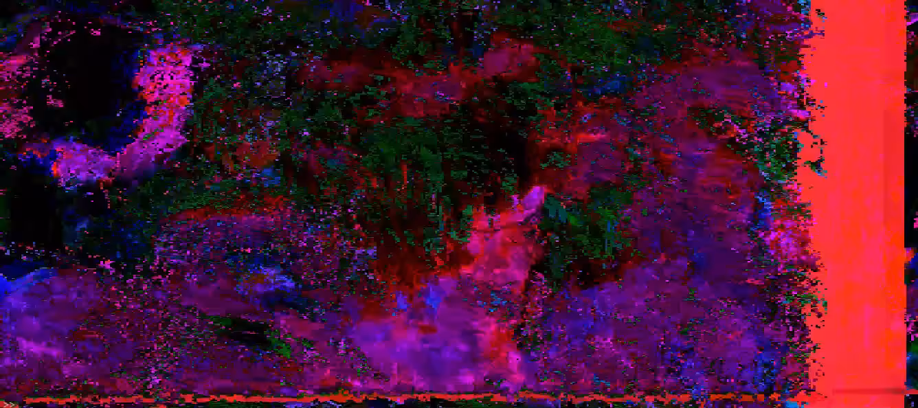 PARNA