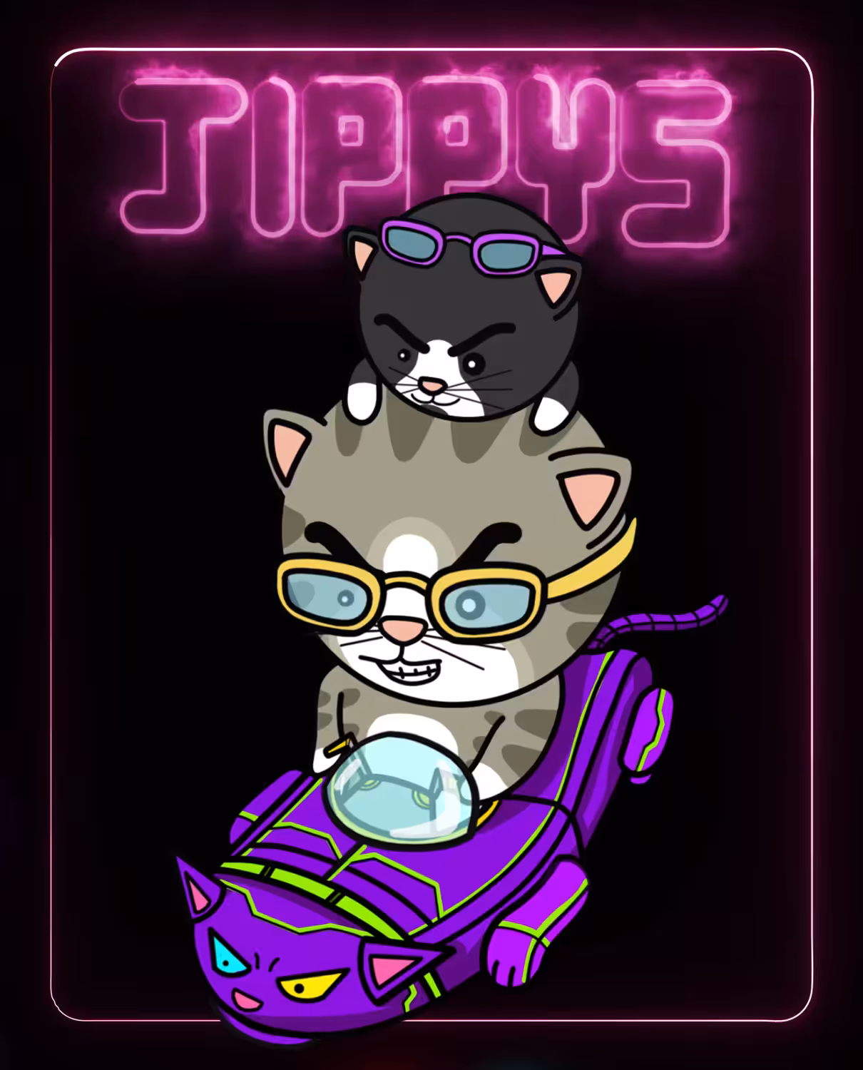 Jippys The Cat