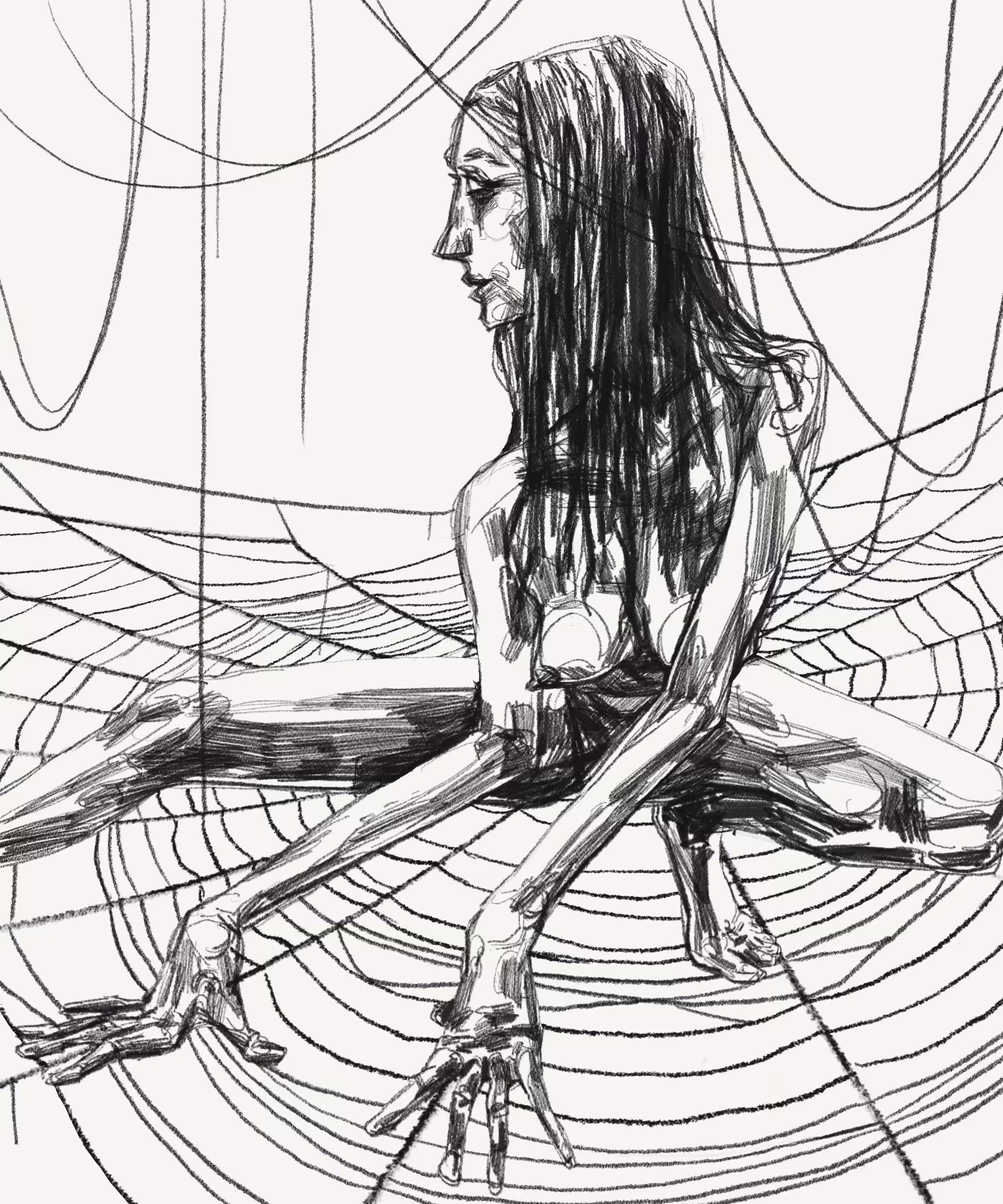 Spider