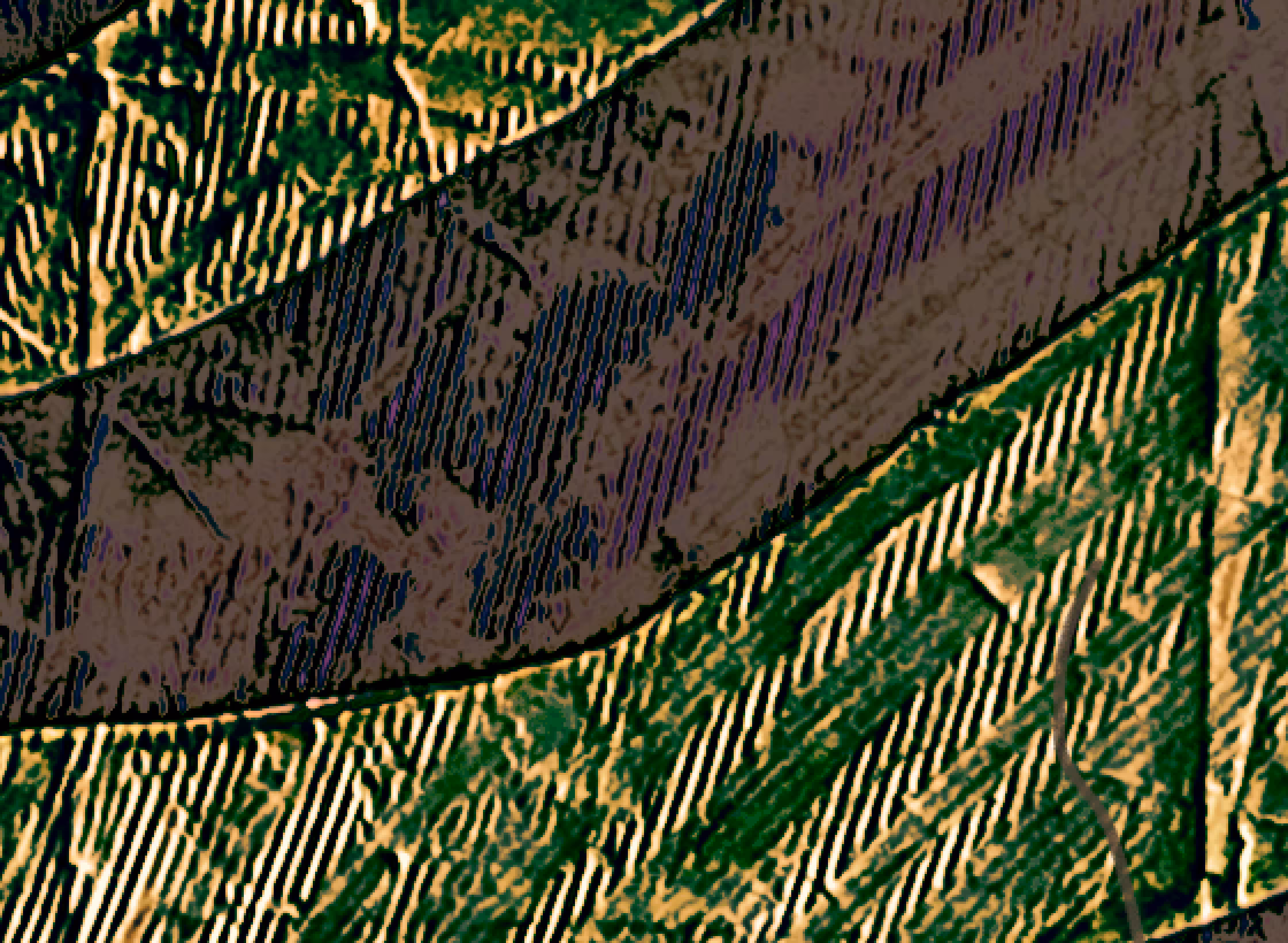 f(x)ield disturbance