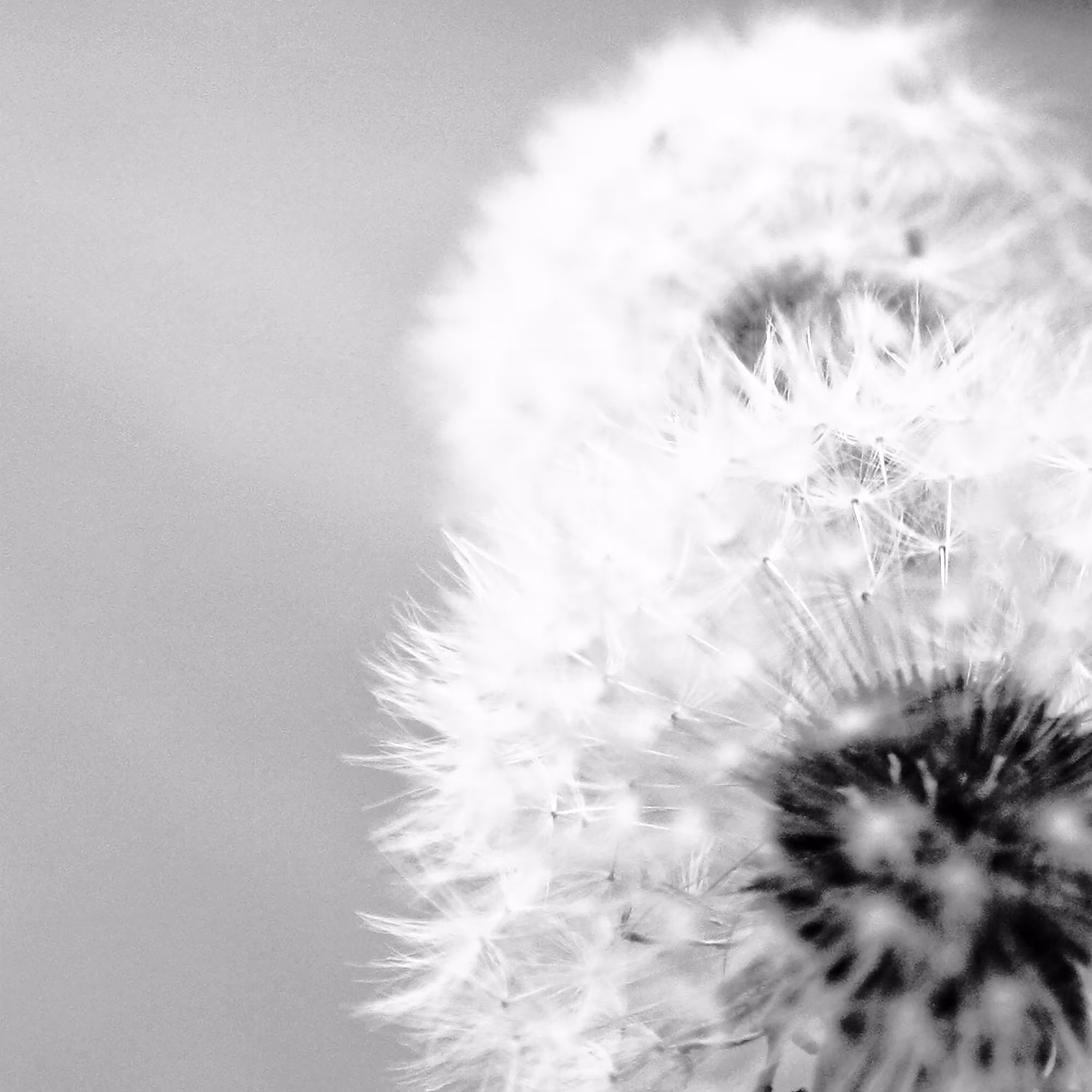 plants are living things 2.