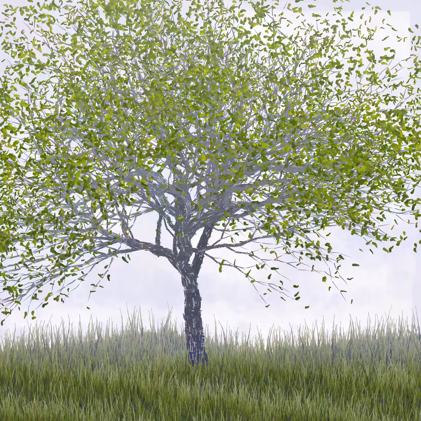 Ornamental Tree #86