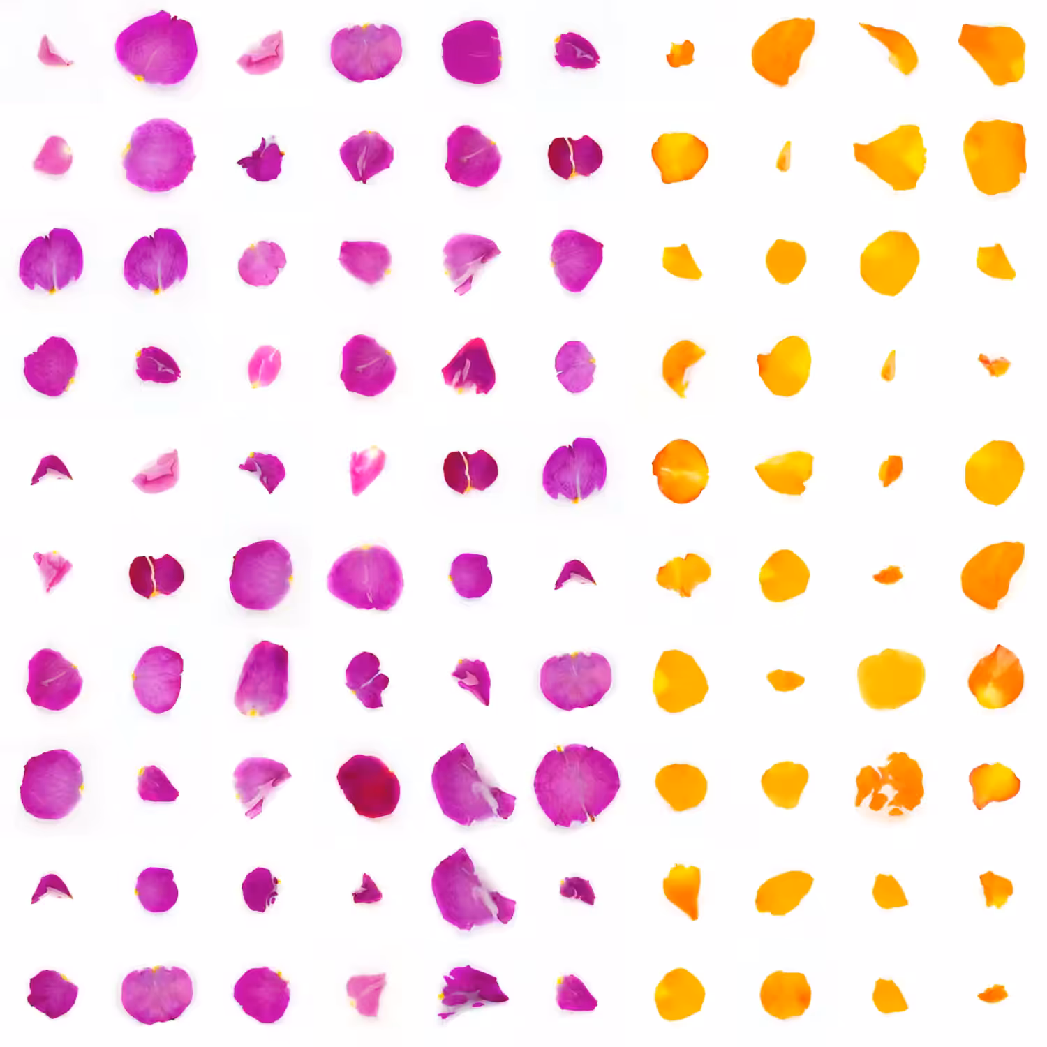 Infinite Petals 10x10#985