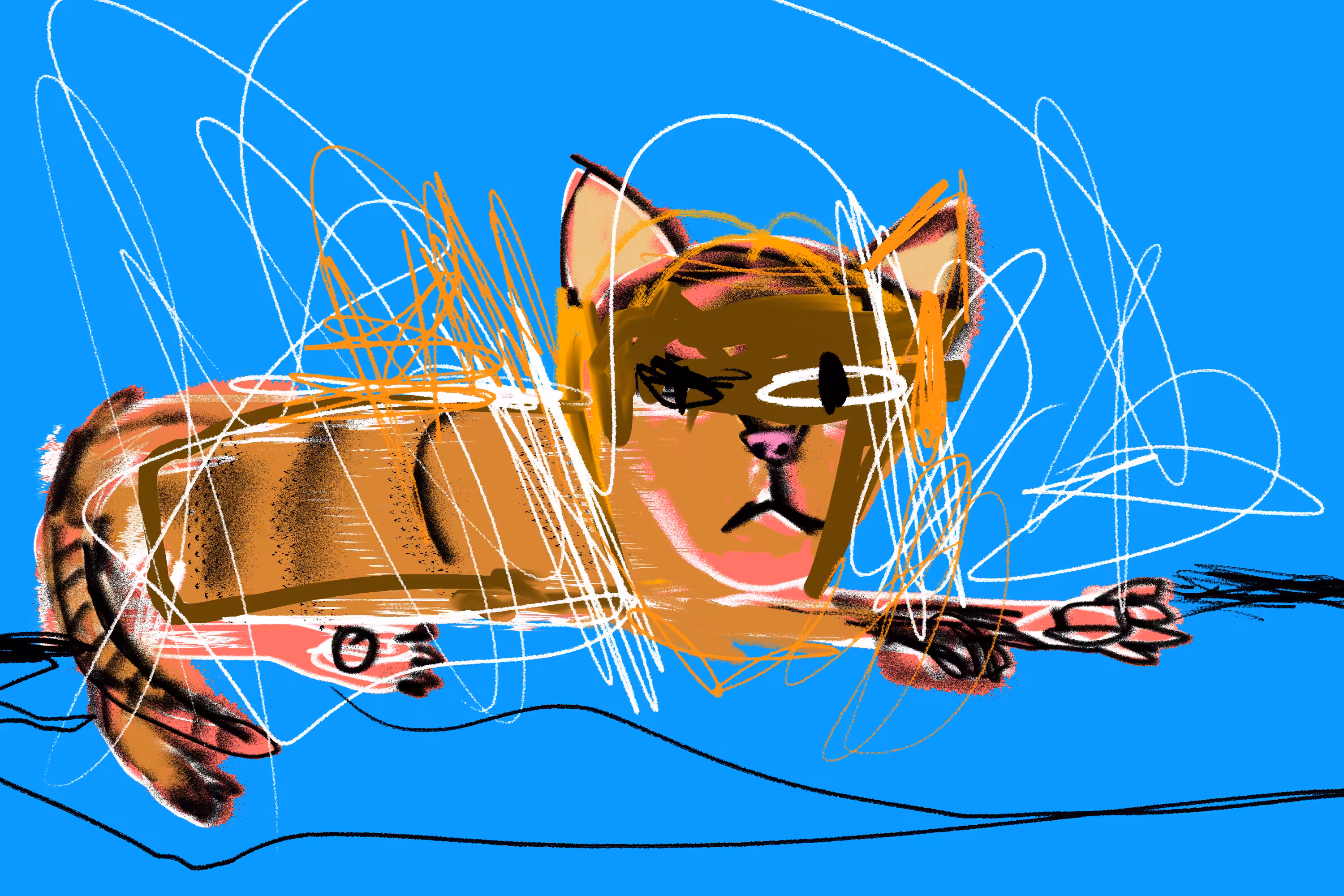 Sweet Drops: The mischievous cat