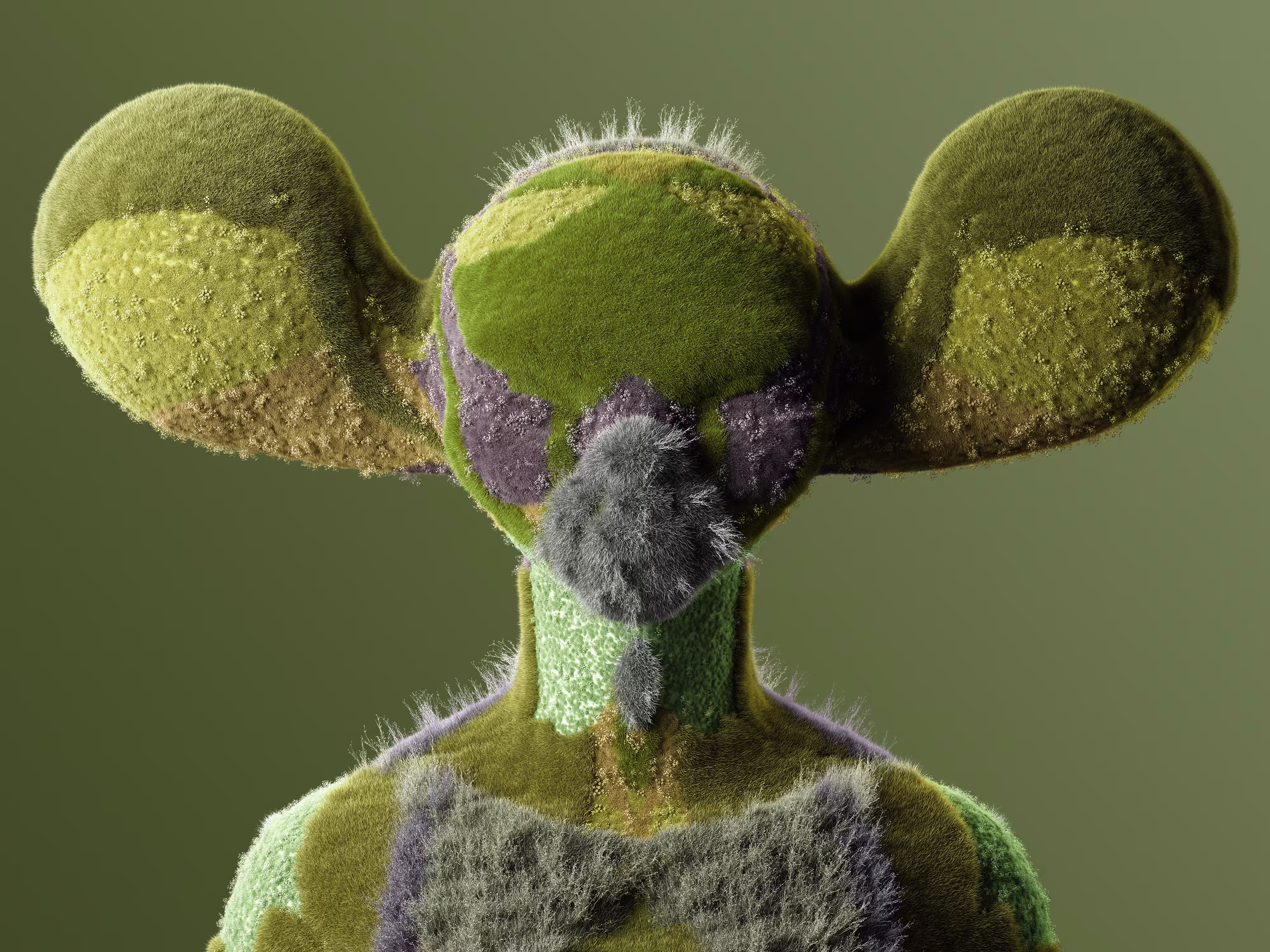 Kodama - Ki