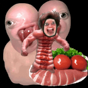 skibbsucu