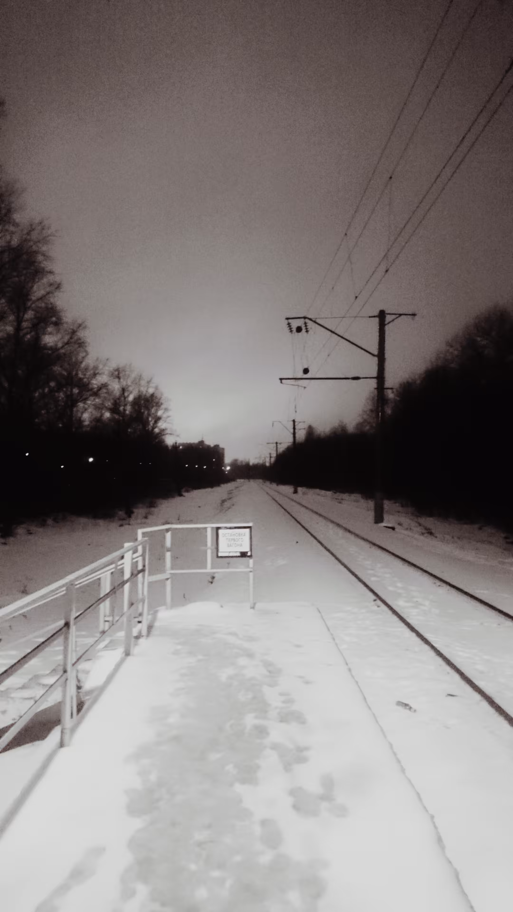 Photos: The road home