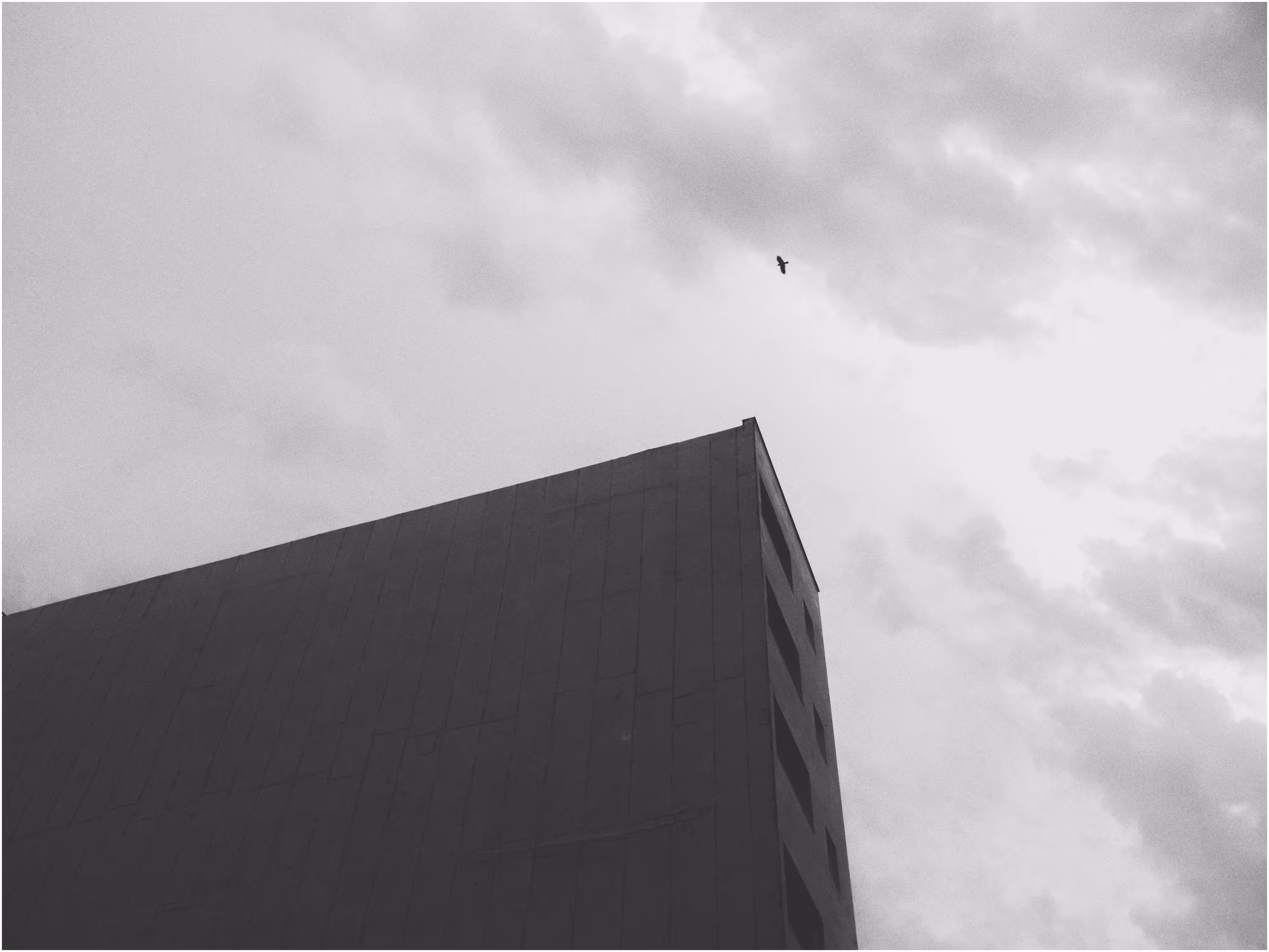 The Happy Valley: Flying over the Black Tower