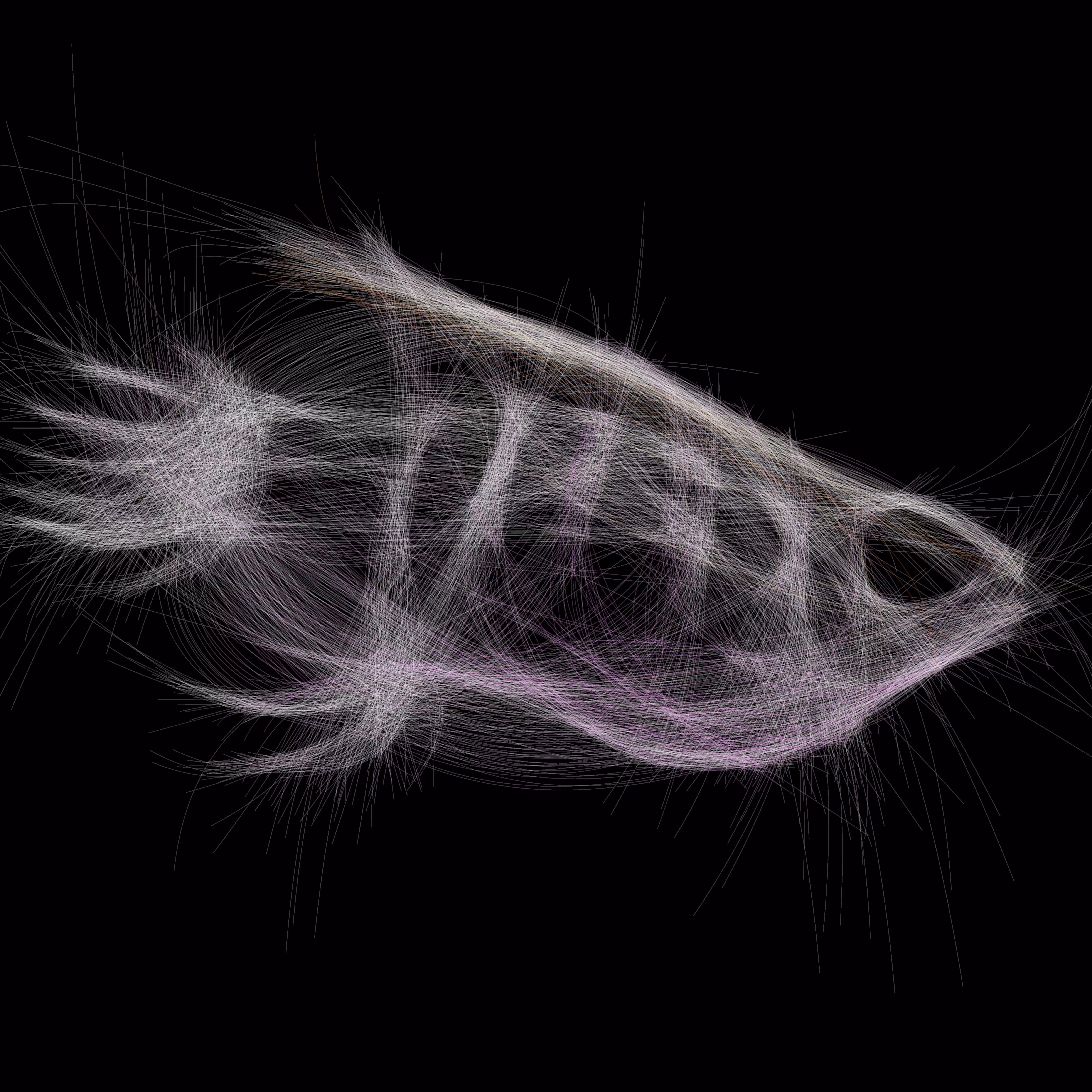 Underwater 296