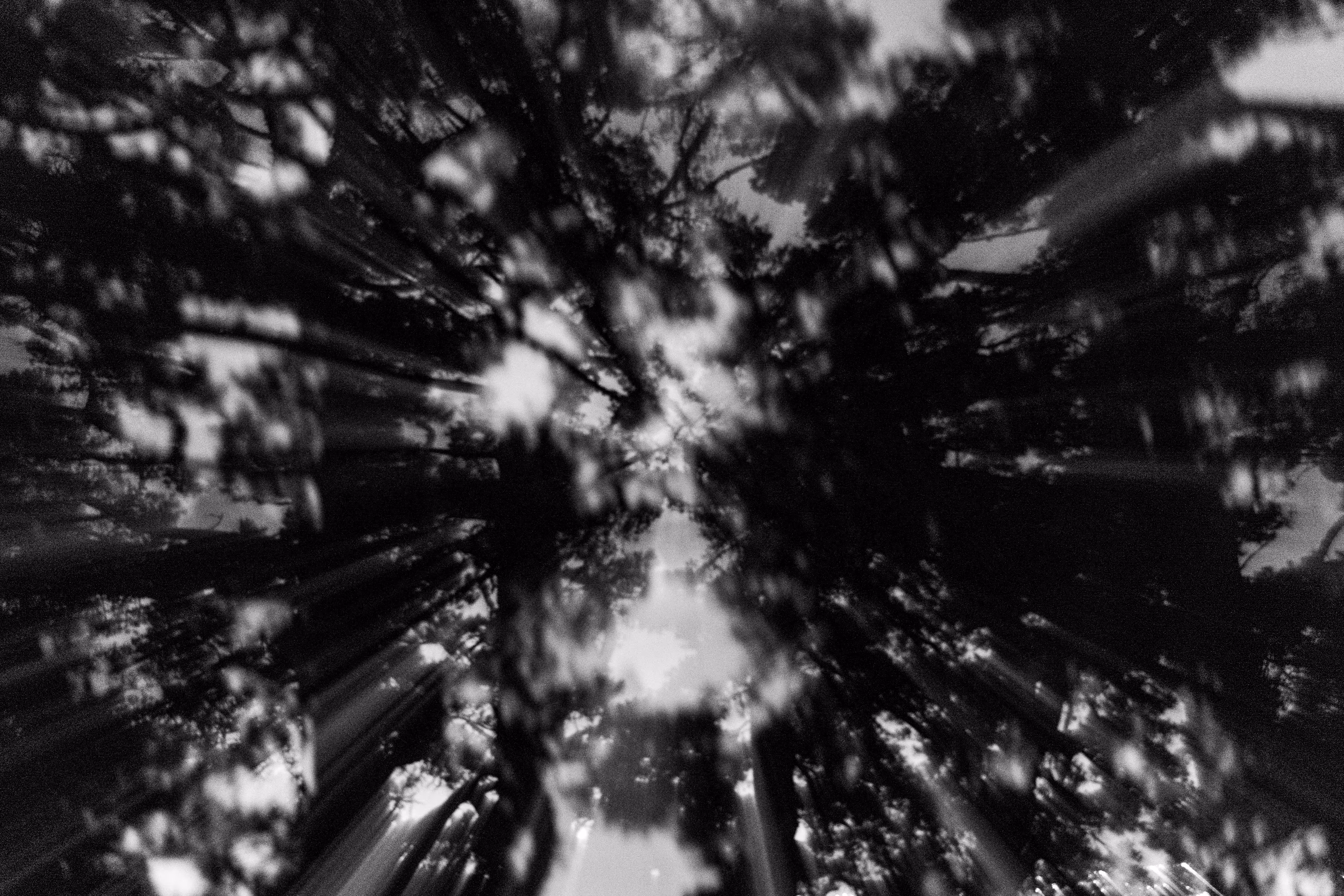 Moving at the Speed of Life