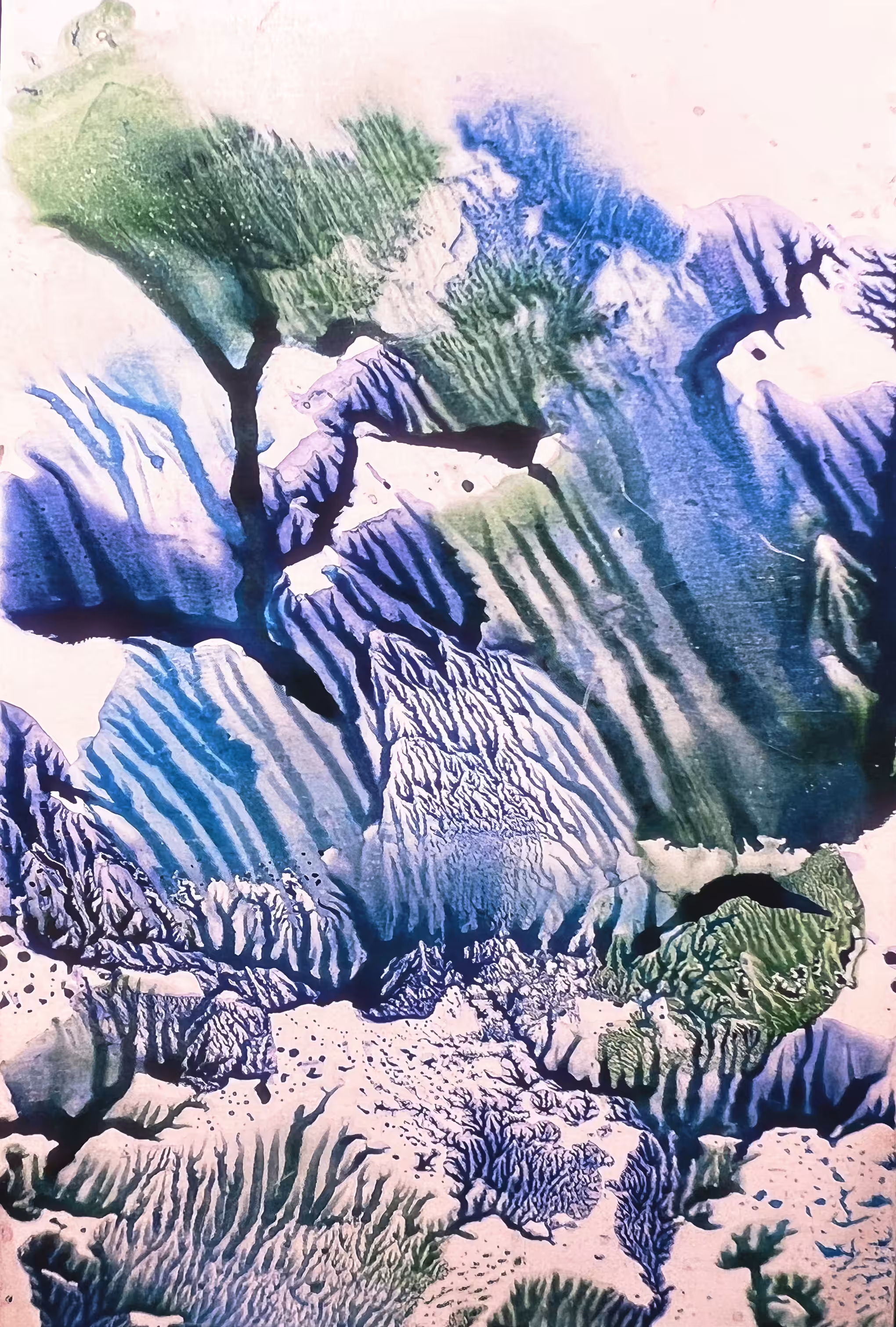 Eden