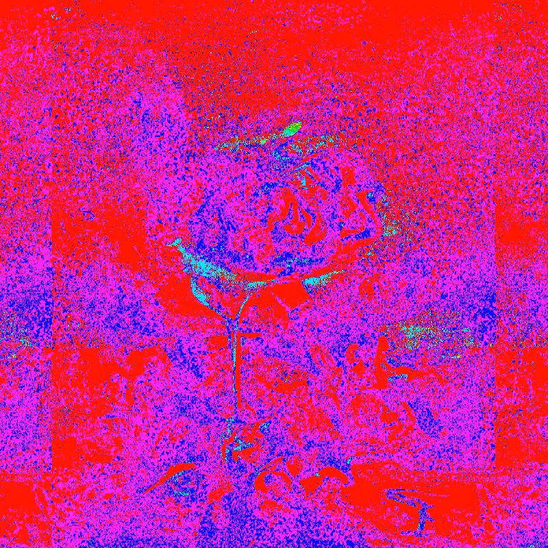 QUANTUM*FLOWERS #6