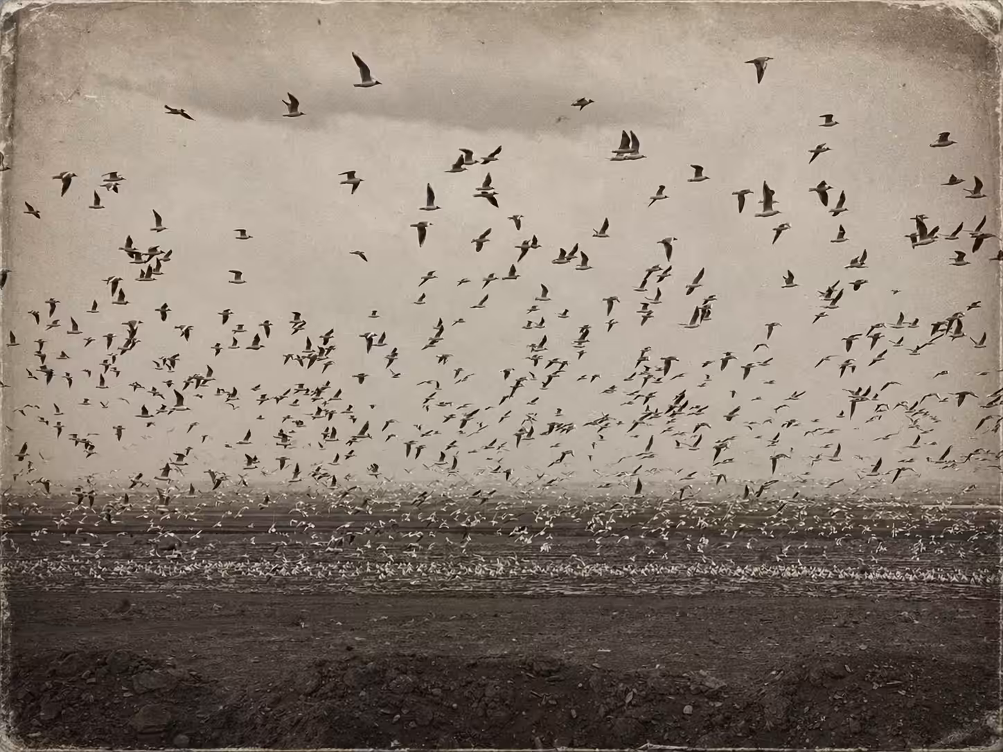 Endless Dance in a Silent Sky