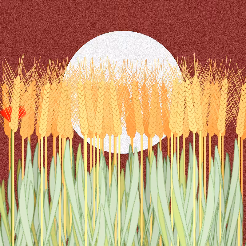 Symbiosis #60