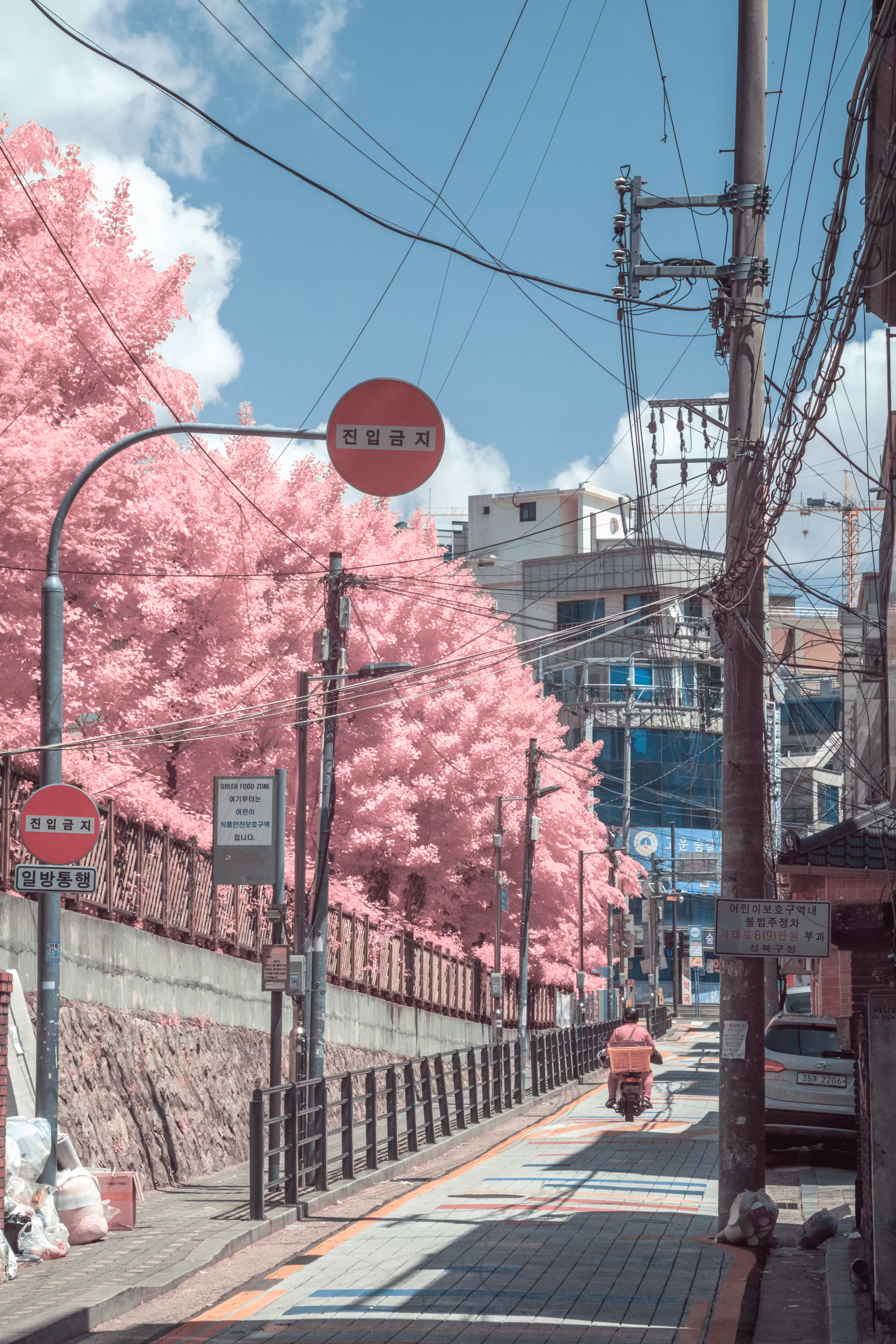 Pink Delivery