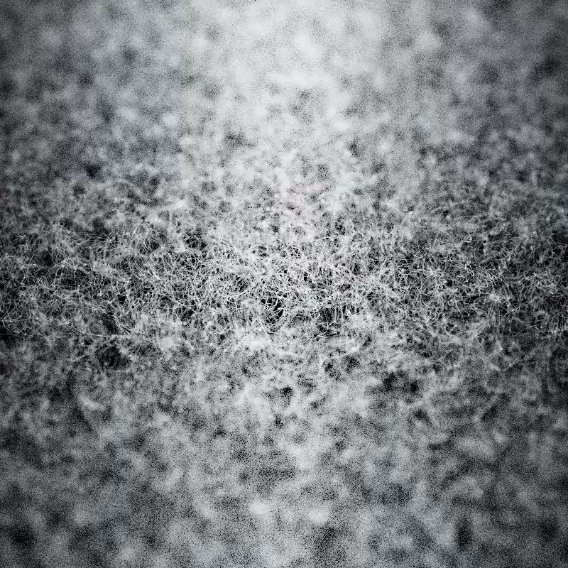 Field of noise #13