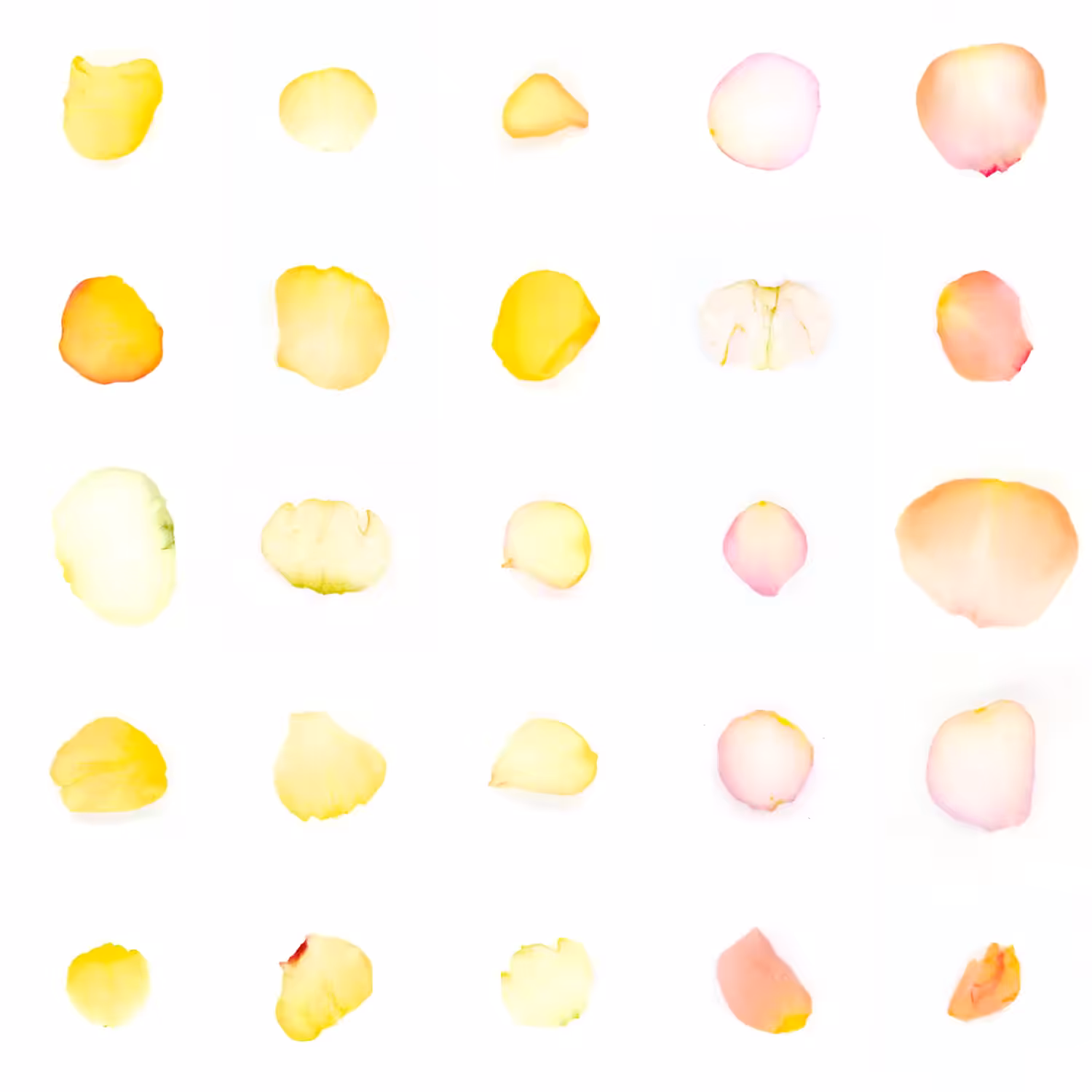 Infinite Petals 5x5#20407