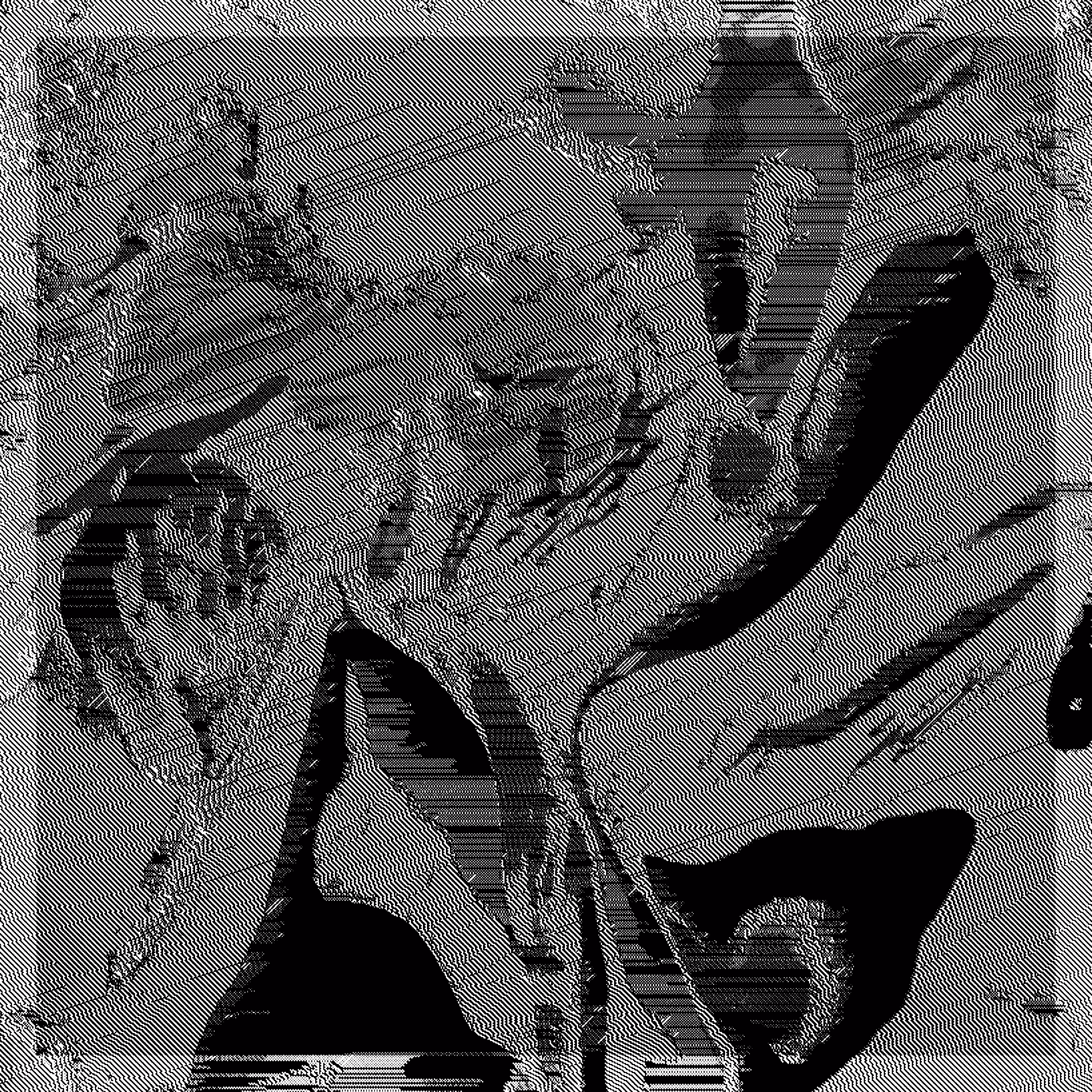 FHX-1 #231