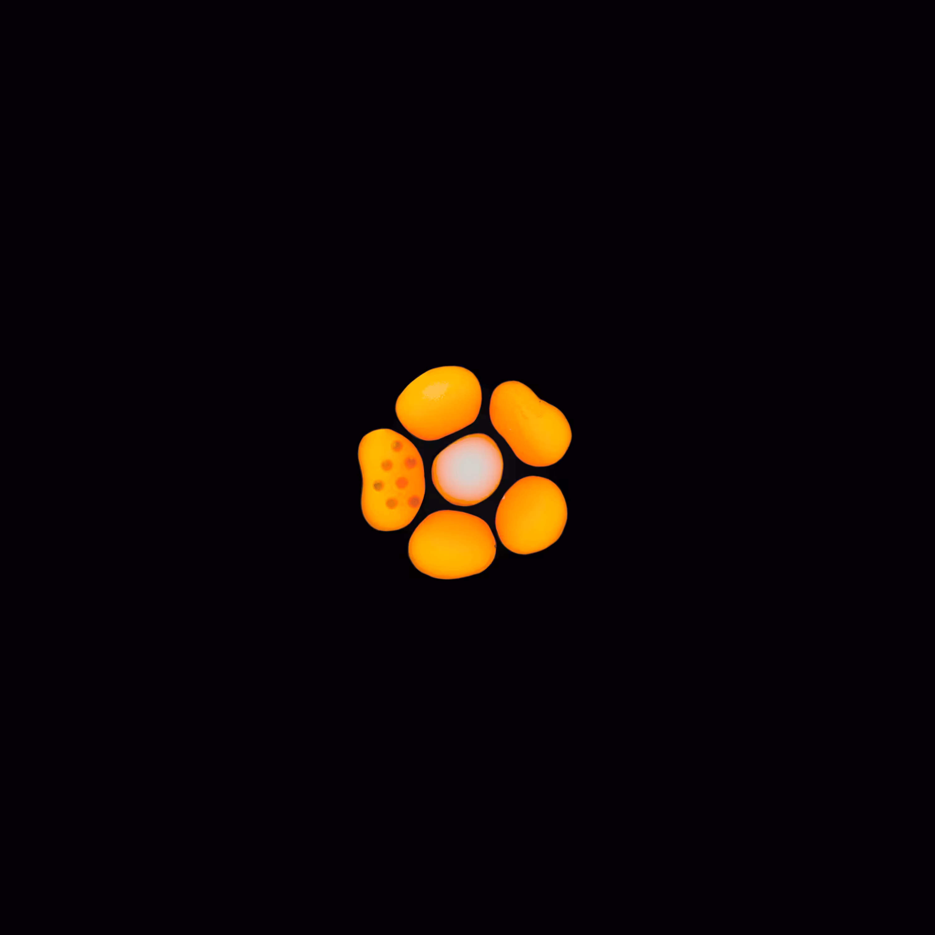 Haematopoiesis #207