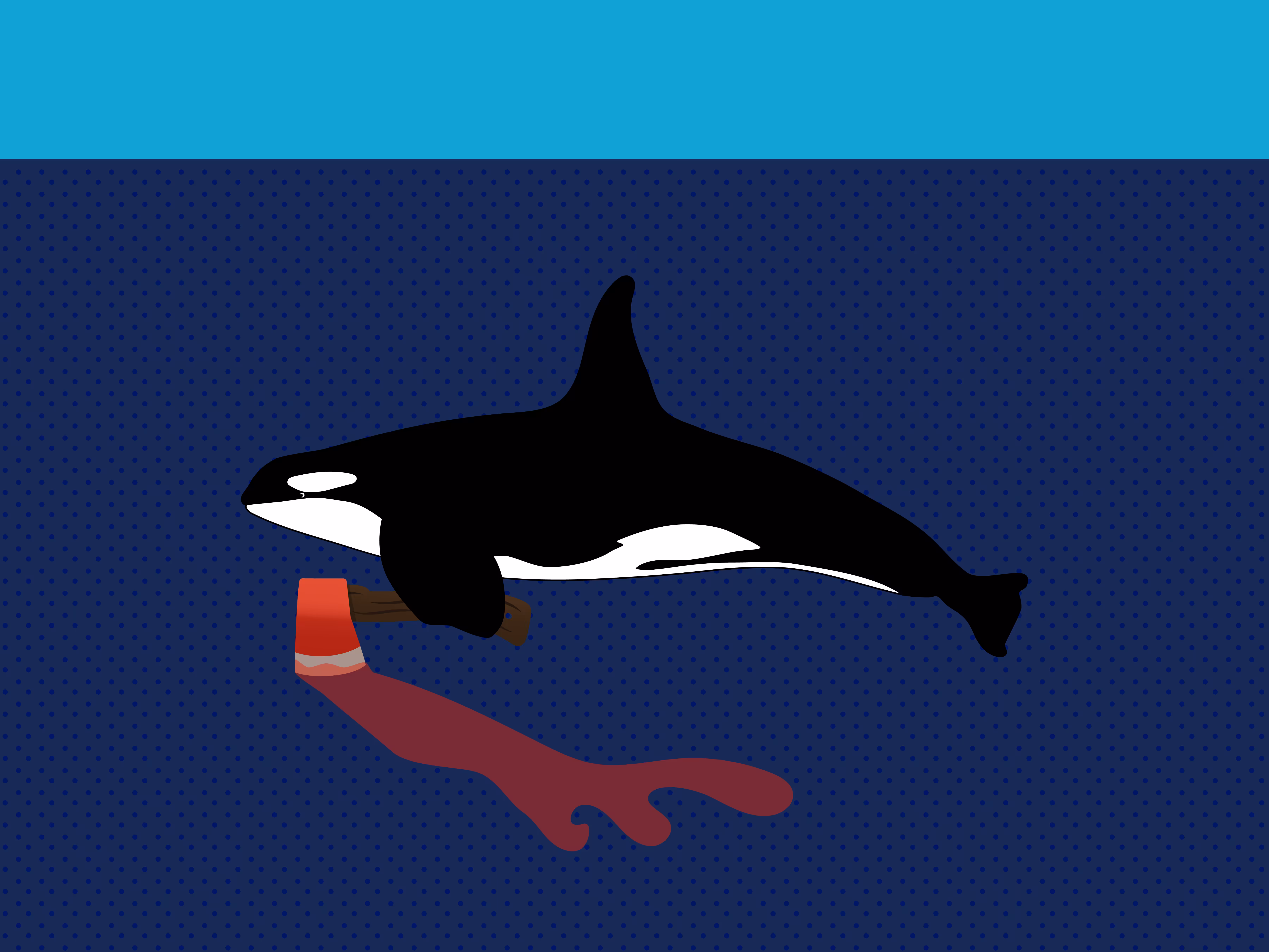 Killer Whale
