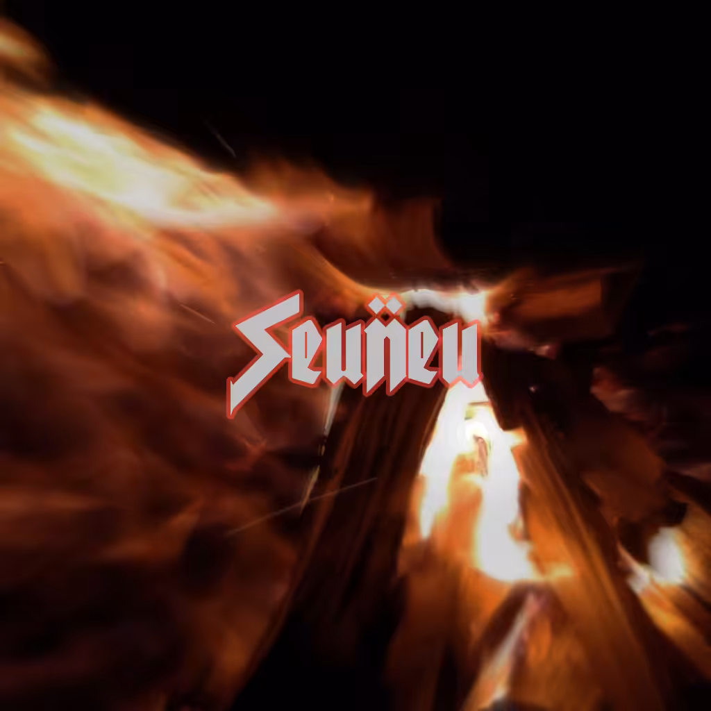 Seuneu